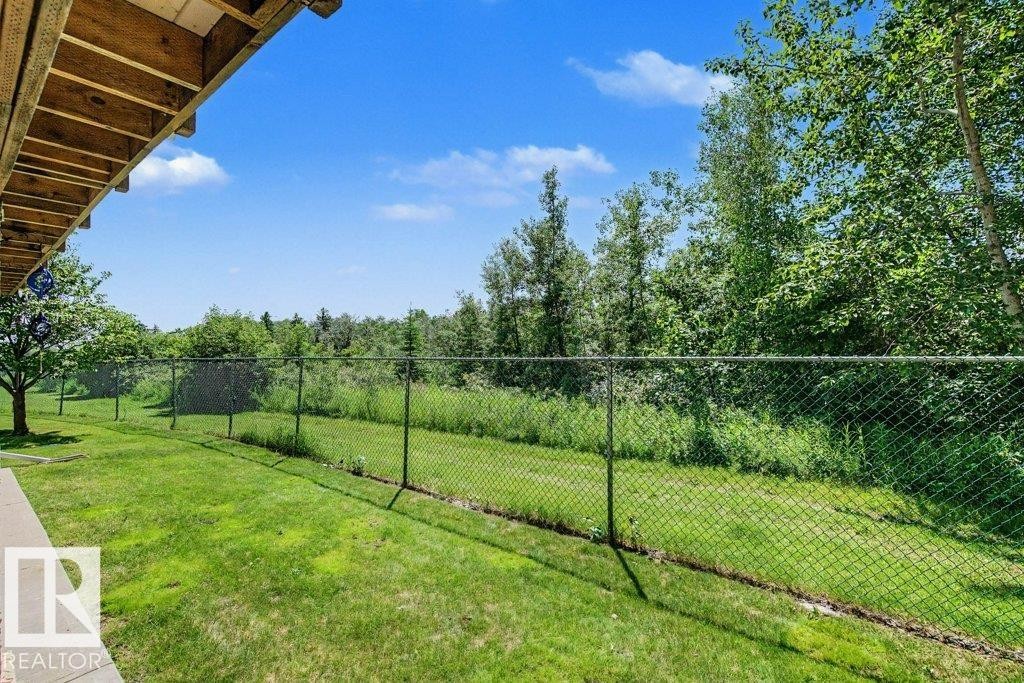 Expansive green lawn bounded by a chain-link fence, backed by mature trees and natural foliage - #39 2419 133 Av Nw, Edmonton, AB - Outdoor