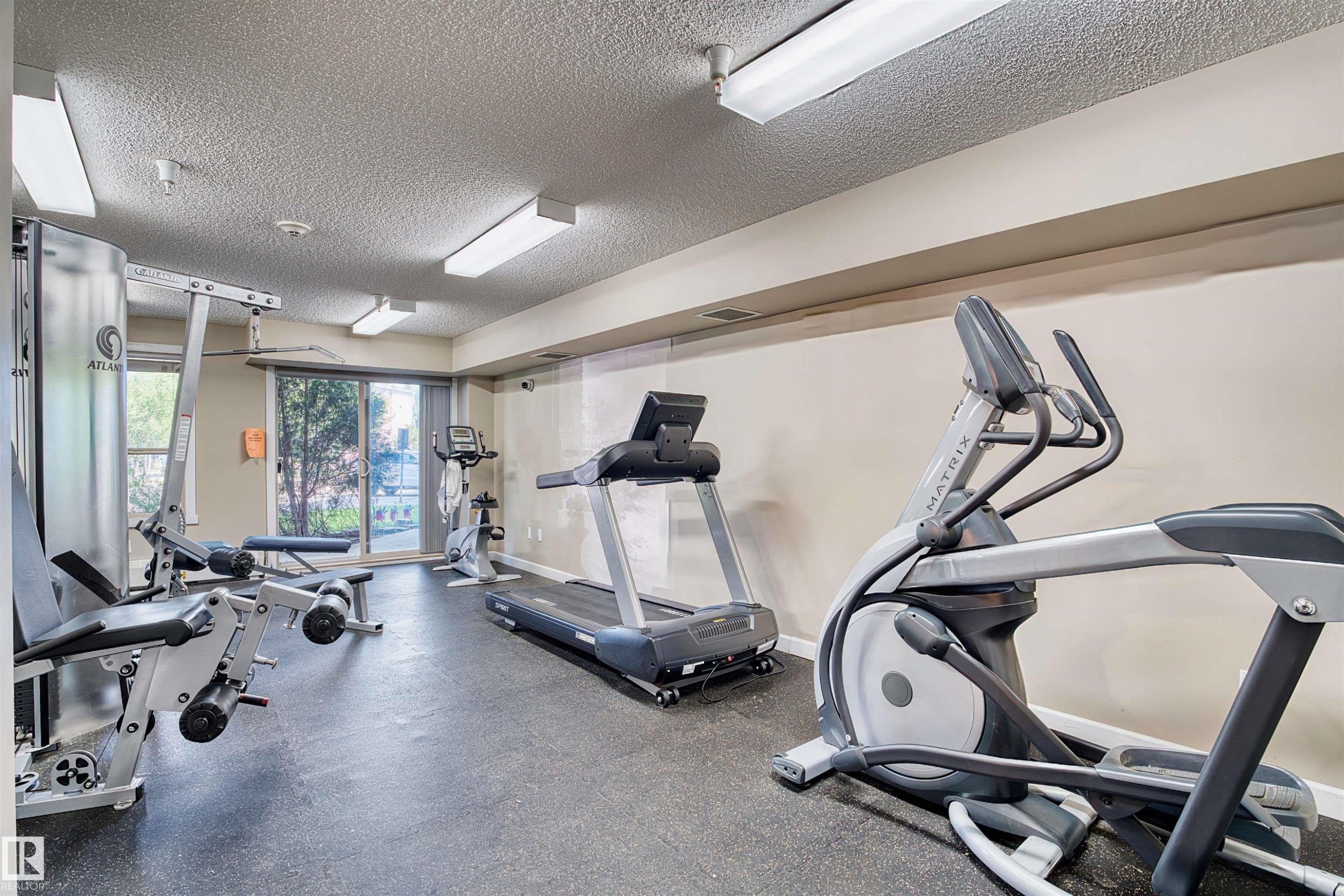 Dedicated fitness area featuring exercise equipment, resilient rubber flooring, and ample overhead lighting - #317 3719 Whitelaw Ln Nw, Edmonton, AB - Indoor Photo Showing Gym Room