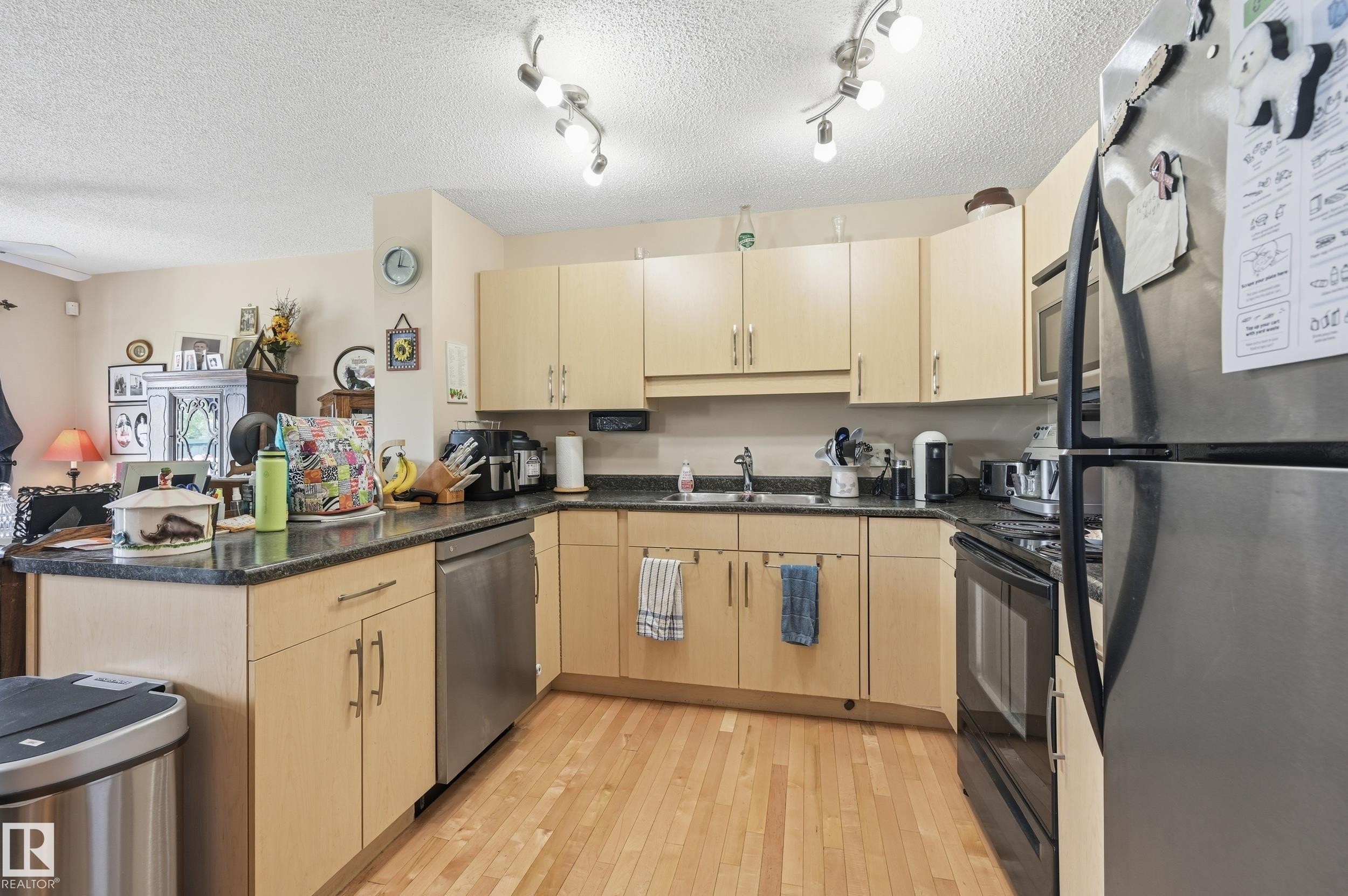 1867 119 Street Sw, Edmonton, AB - Indoor Photo Showing Kitchen With Double Sink