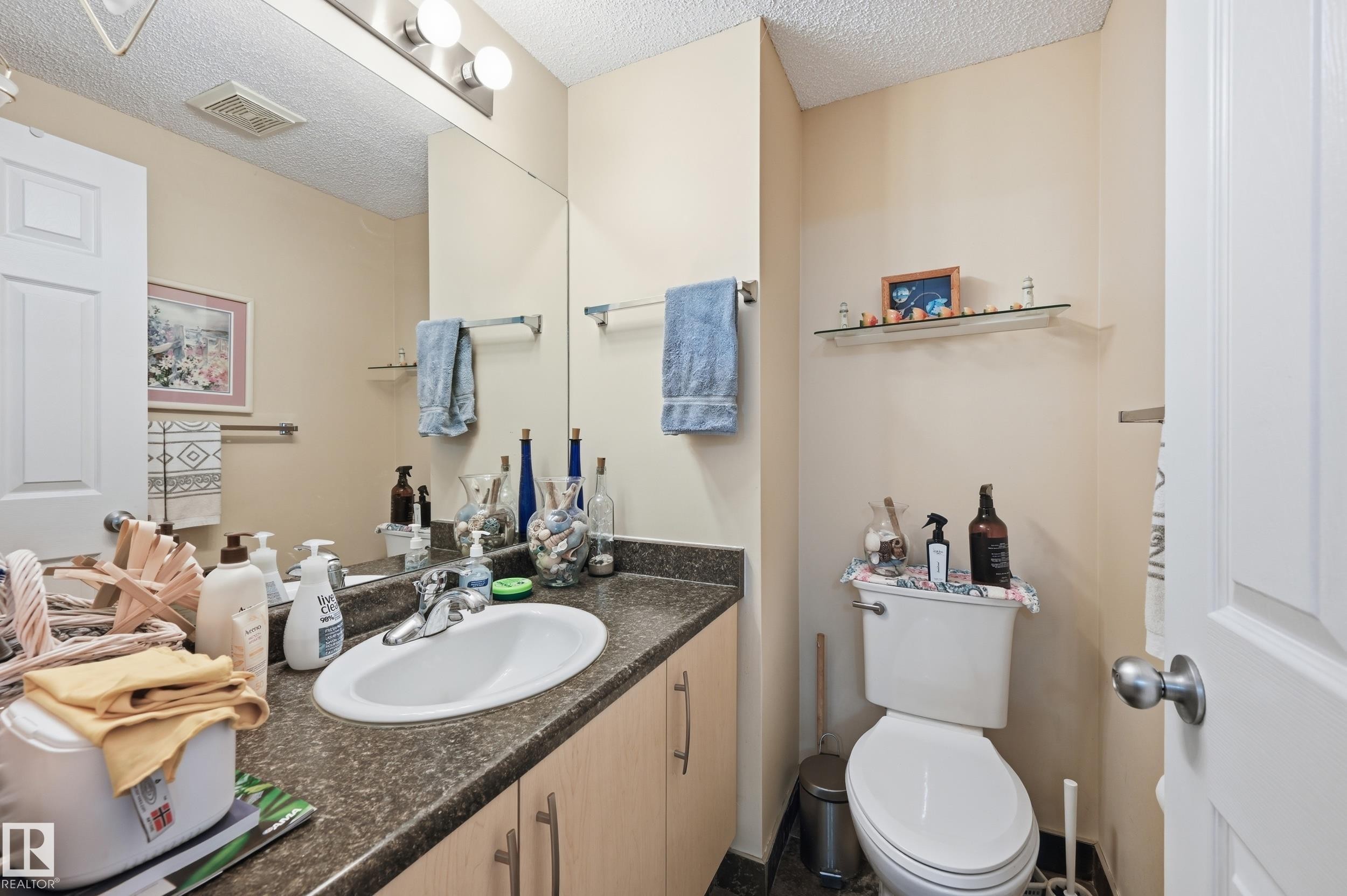 1867 119 Street Sw, Edmonton, AB - Indoor Photo Showing Bathroom