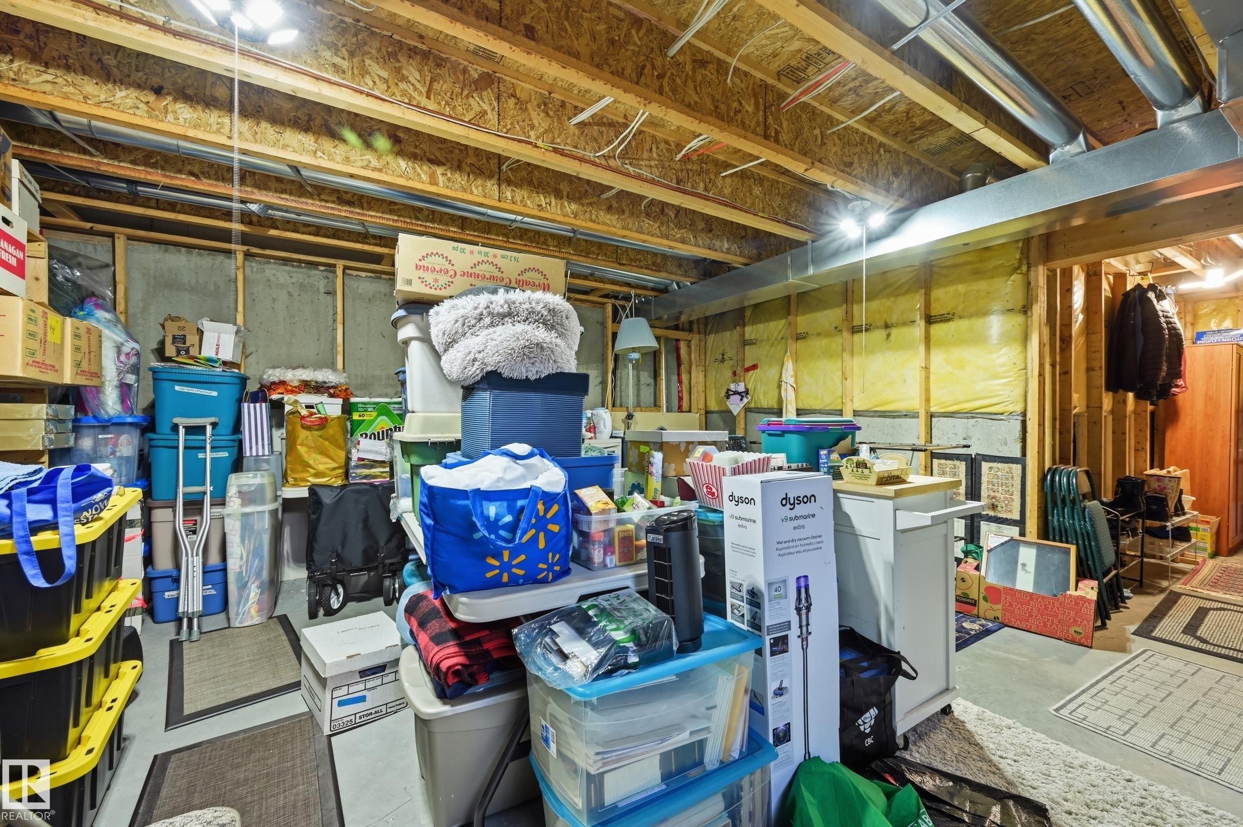 1867 119 Street Sw, Edmonton, AB - Indoor Photo Showing Basement