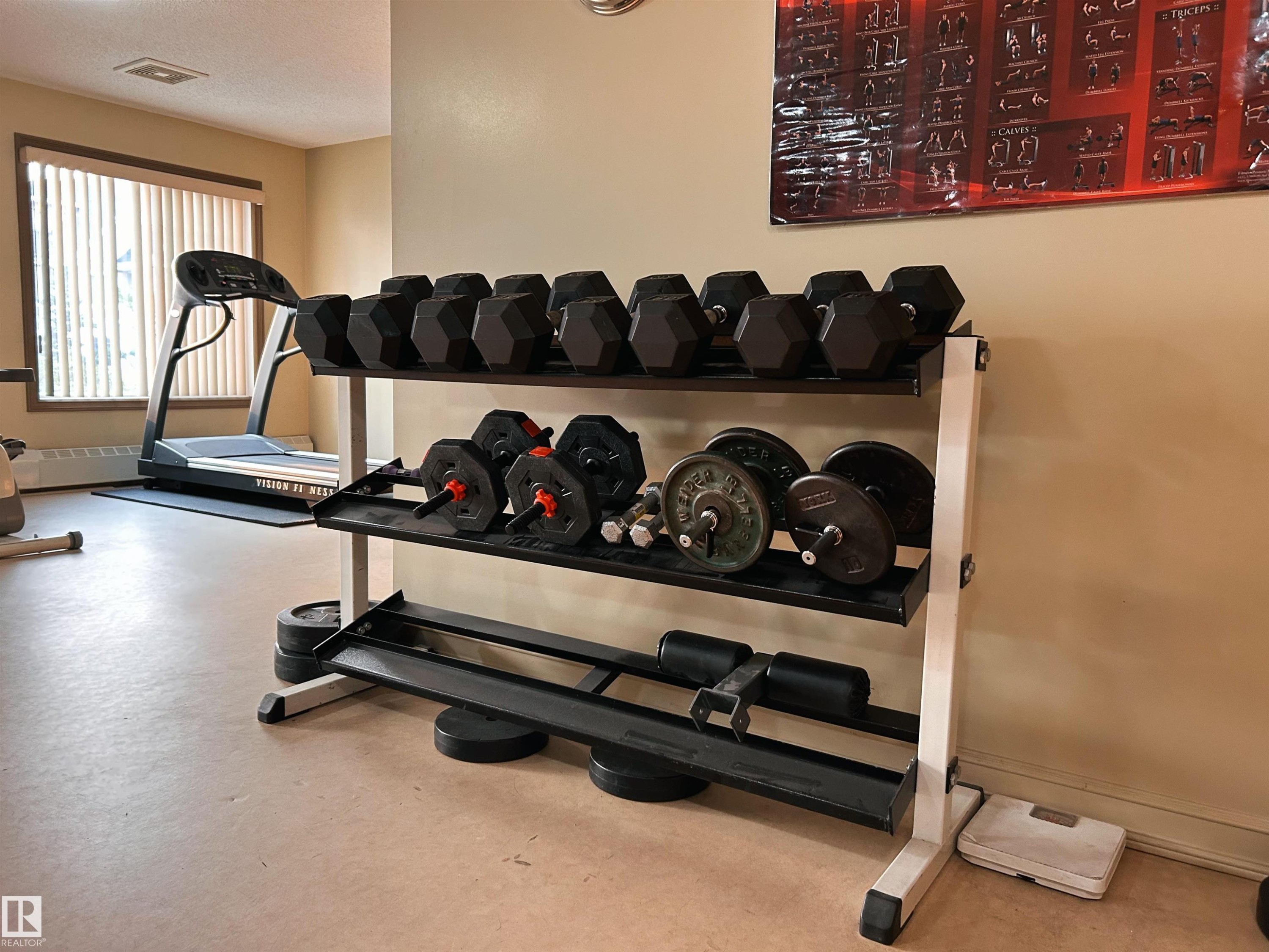 #409 4403 23 St Nw, Edmonton, AB - Indoor Photo Showing Gym Room