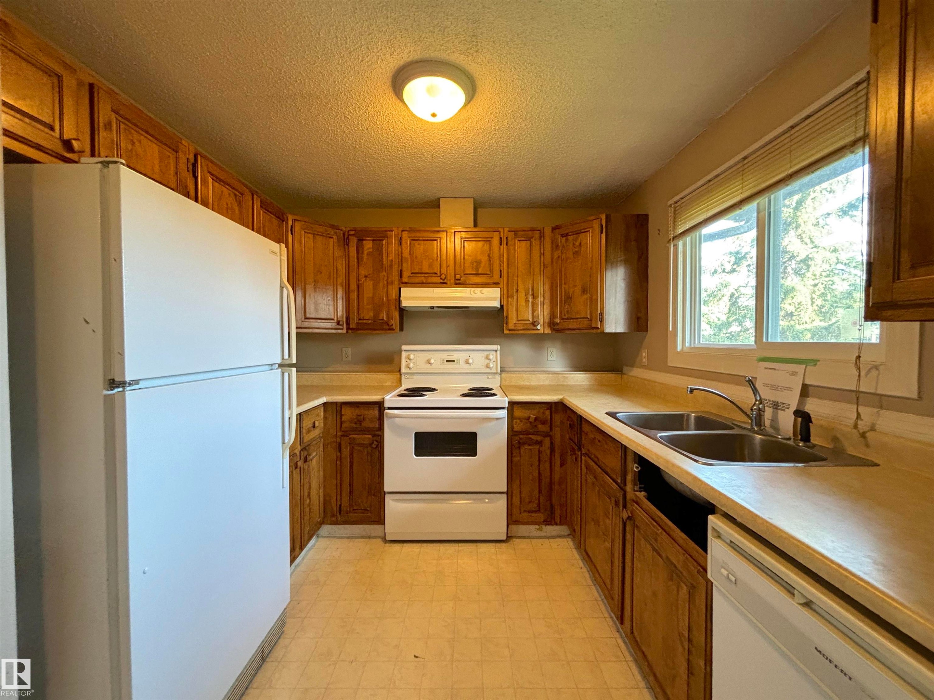 5955 40 Avenue Nw, Edmonton, AB - Indoor Photo Showing Kitchen With Double Sink