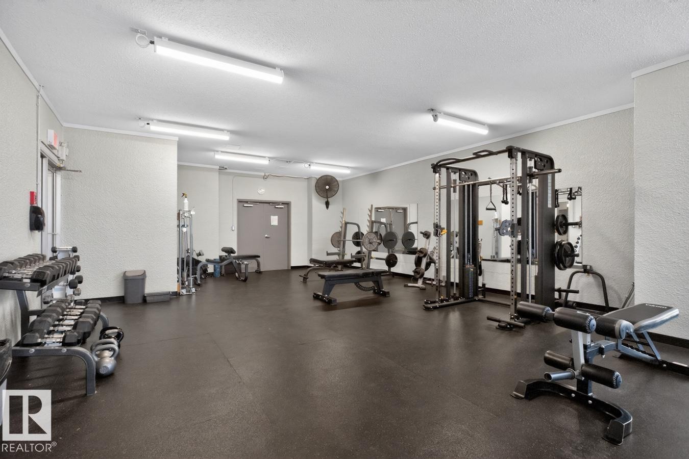 11307 99 Avenue Nw, Edmonton, AB - Indoor Photo Showing Gym Room
