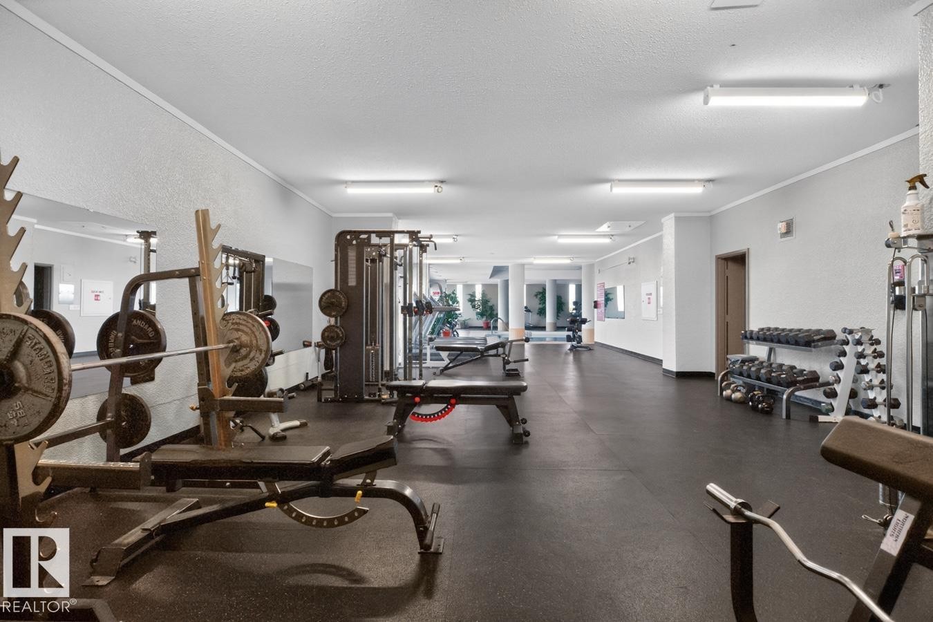 11307 99 Avenue Nw, Edmonton, AB - Indoor Photo Showing Gym Room