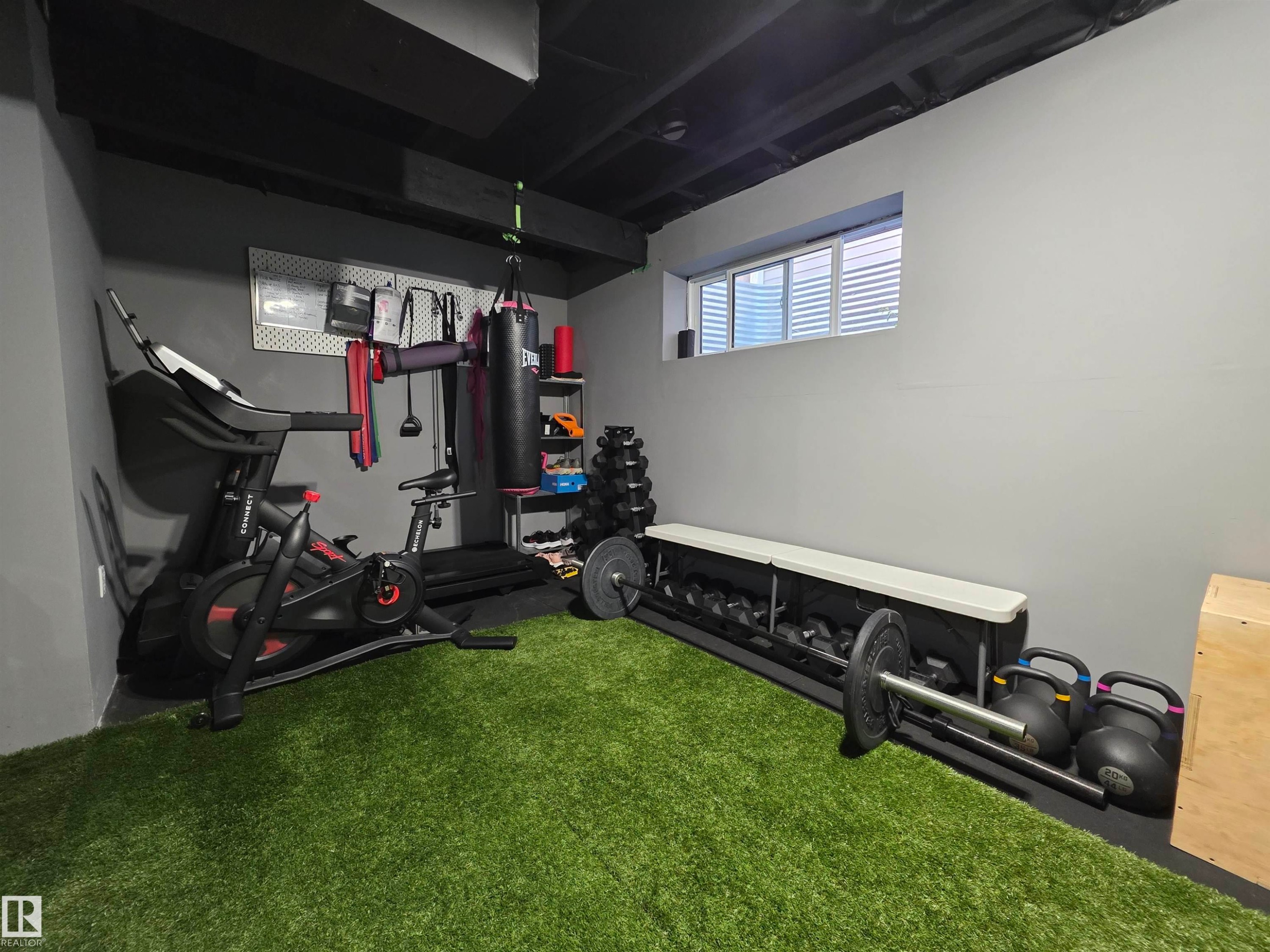 Dedicated fitness space featuring artificial turf flooring - 491 Ebbers Way, Edmonton, AB