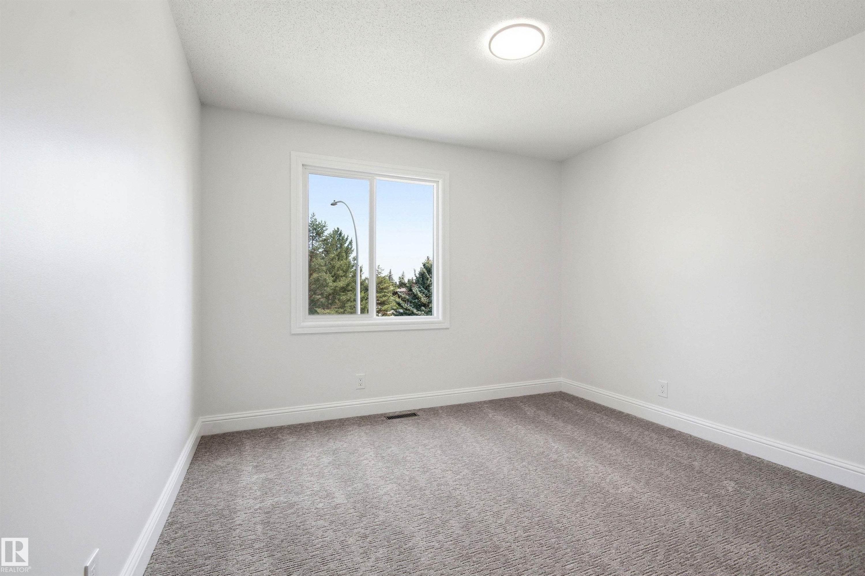 Bright room with a large window, plush gray carpeting, white baseboards, and a flush-mount ceiling light fixture - 14335 47 Avenue Nw, Edmonton, AB - Indoor Photo Showing Other Room