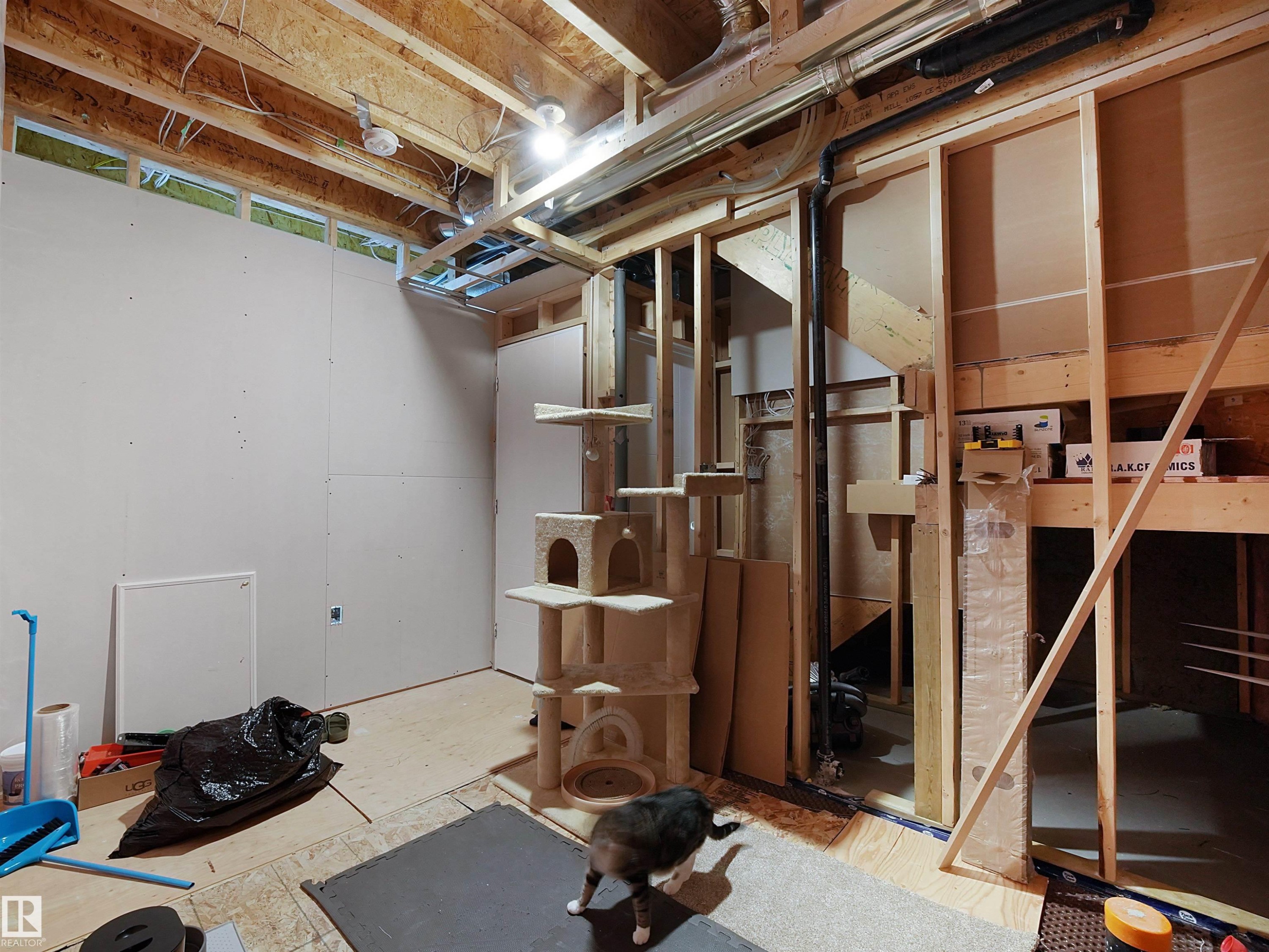 820 179 Street Sw, Edmonton, AB - Indoor Photo Showing Basement