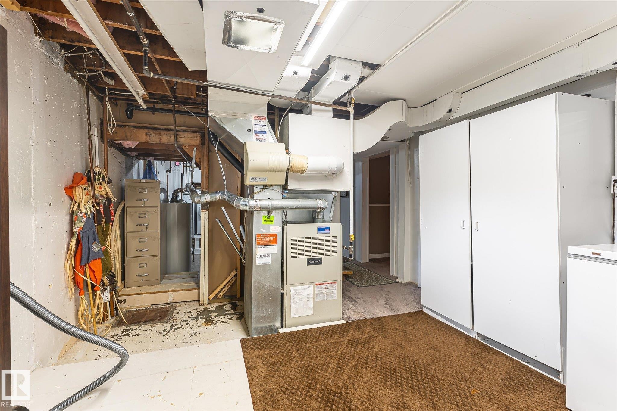 11322 56 Street Nw, Edmonton, AB - Indoor Photo Showing Basement