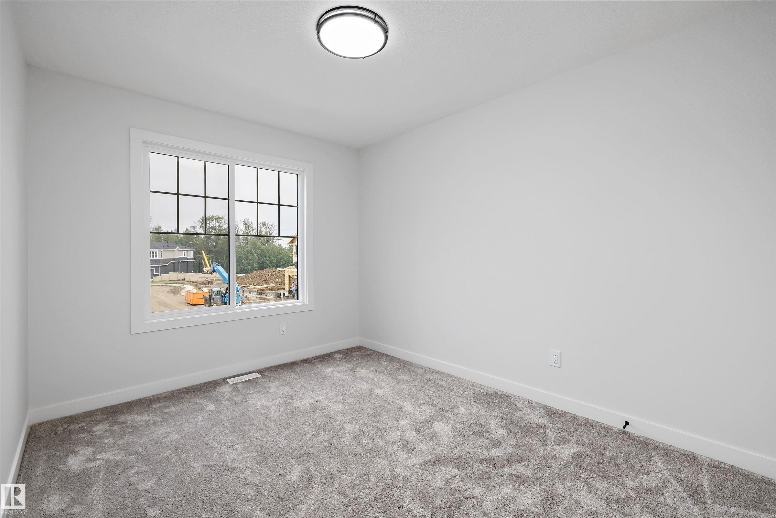 Bright room with soft gray carpeting, white baseboards, and neutral wall paint - 919 Elderberry Landing Nw, Edmonton, AB - Indoor Photo Showing Other Room