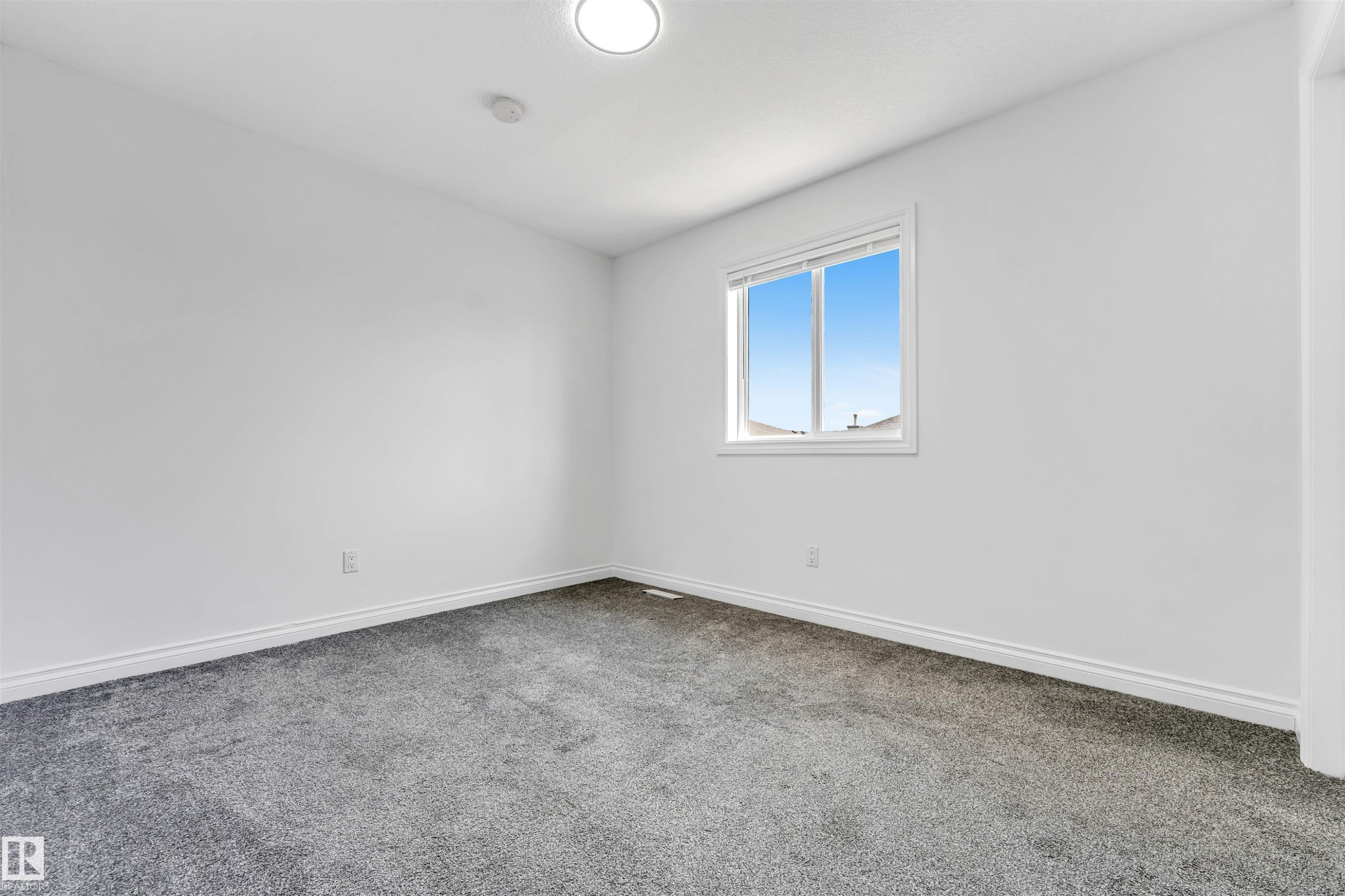 Room featuring neutral white walls, grey carpeting, a flush-mount ceiling light, and a single window with white trim - 16205 55 Street Nw, Edmonton, AB - Indoor Photo Showing Other Room