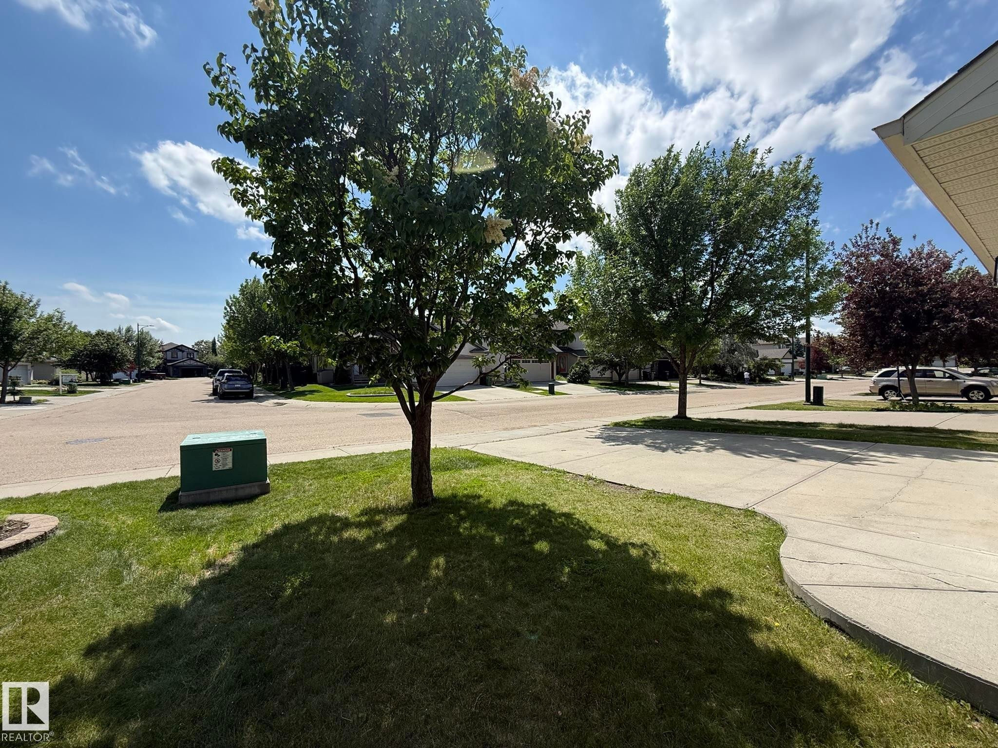 Manicured lawn with mature trees and a concrete driveway - 1820 Robertson Crescent Sw, Edmonton, AB - Outdoor With View