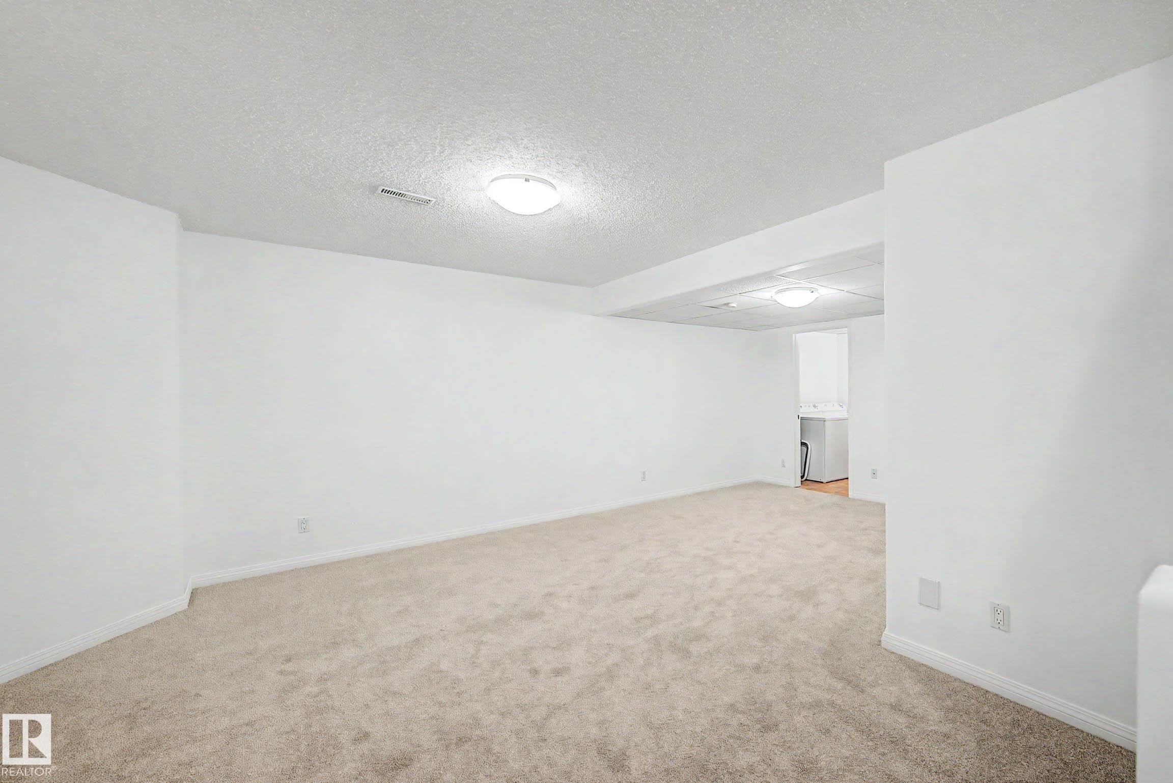 Basement - 9130 100A Avenue Nw, Edmonton, AB - Indoor Photo Showing Other Room