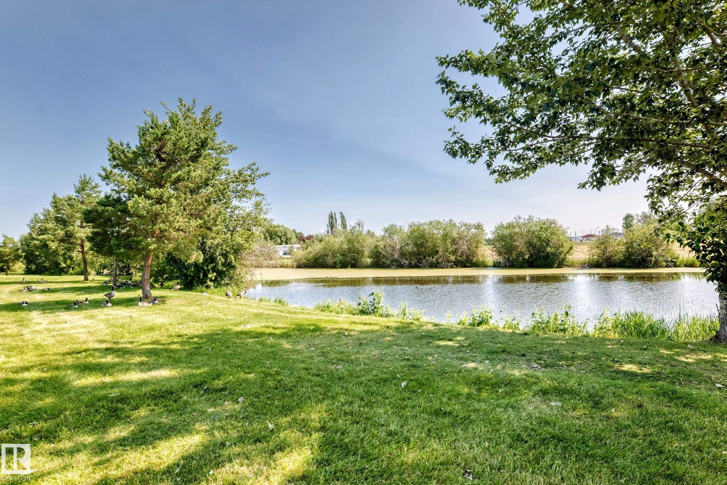 Expansive green lawn bordering a tranquil body of water, featuring mature trees and natural shrubbery along the perimeter - #225 3400 48 St, Stony Plain, AB - Outdoor With View