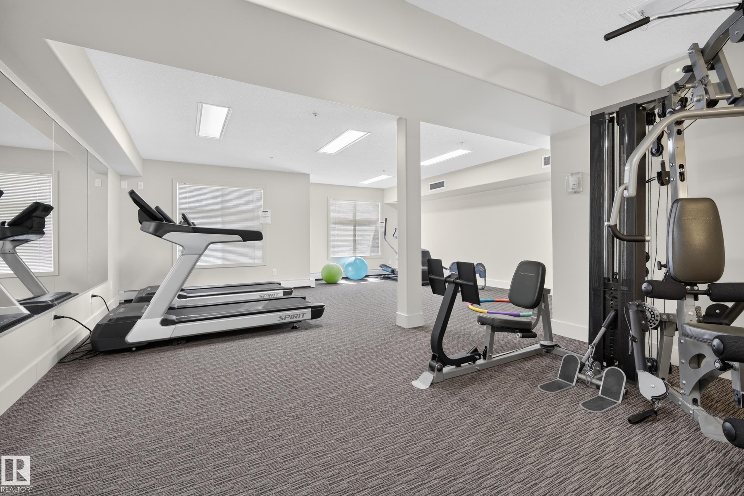 #465 11517 Ellerslie Rd Sw, Edmonton, AB - Indoor Photo Showing Gym Room
