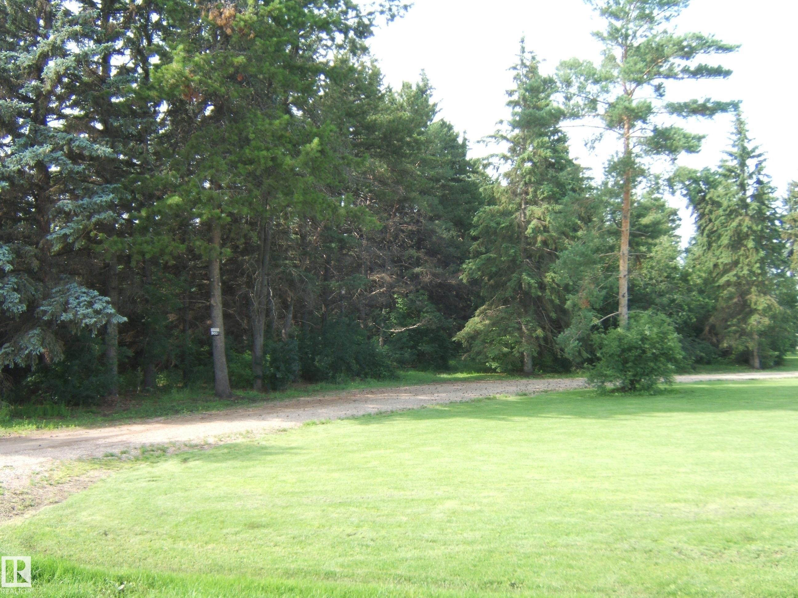 Expansive green lawn bordering a natural wooded area with mature trees and a gravel path - 151042 Twp Rd 562, Rural Two Hills County, AB - Outdoor