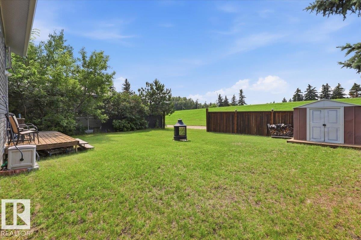 116 Cameron Crescent, Wetaskiwin, AB - Outdoor With Backyard