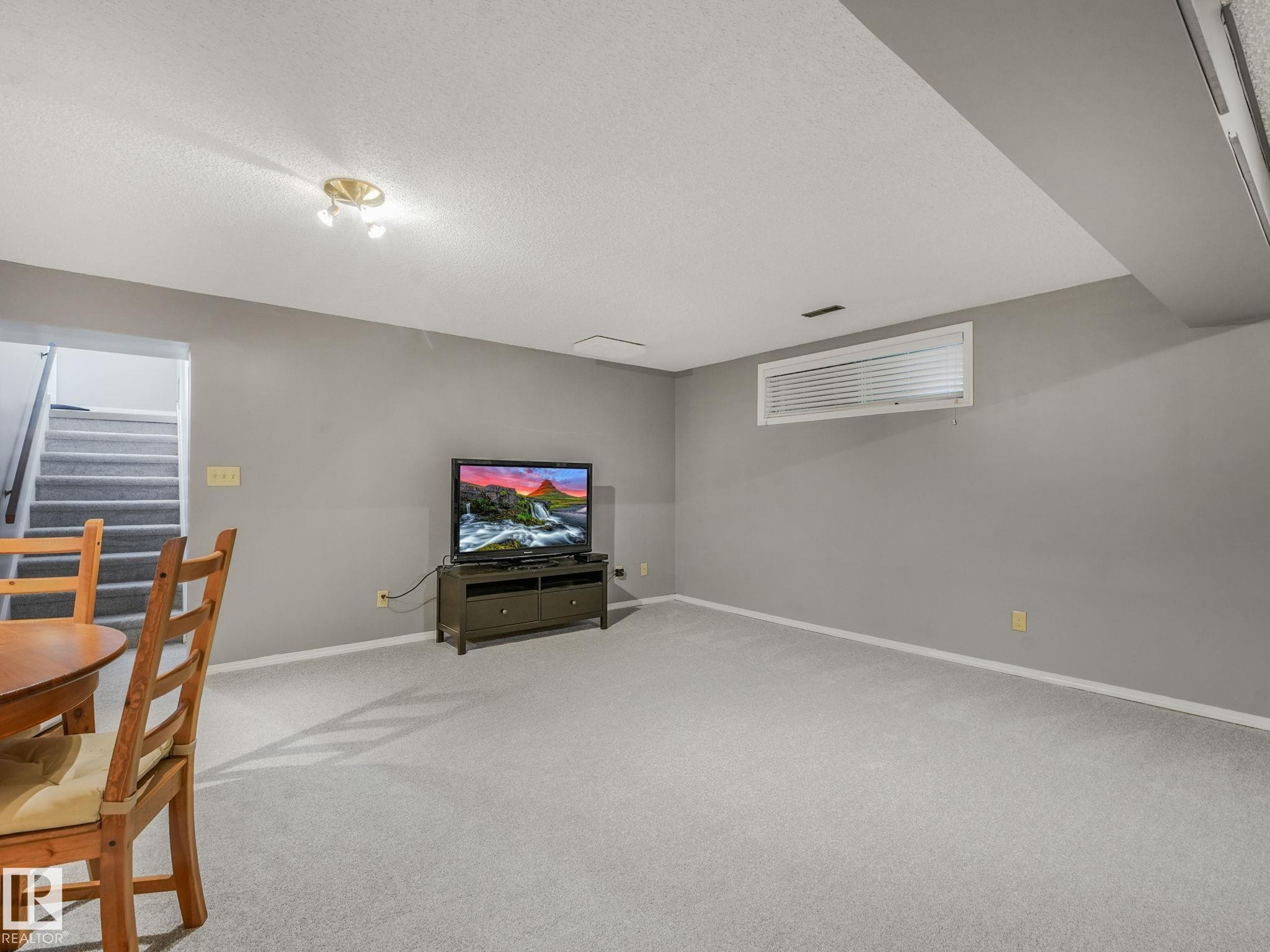 9528 54 Street Nw, Edmonton, AB - Indoor Photo Showing Basement