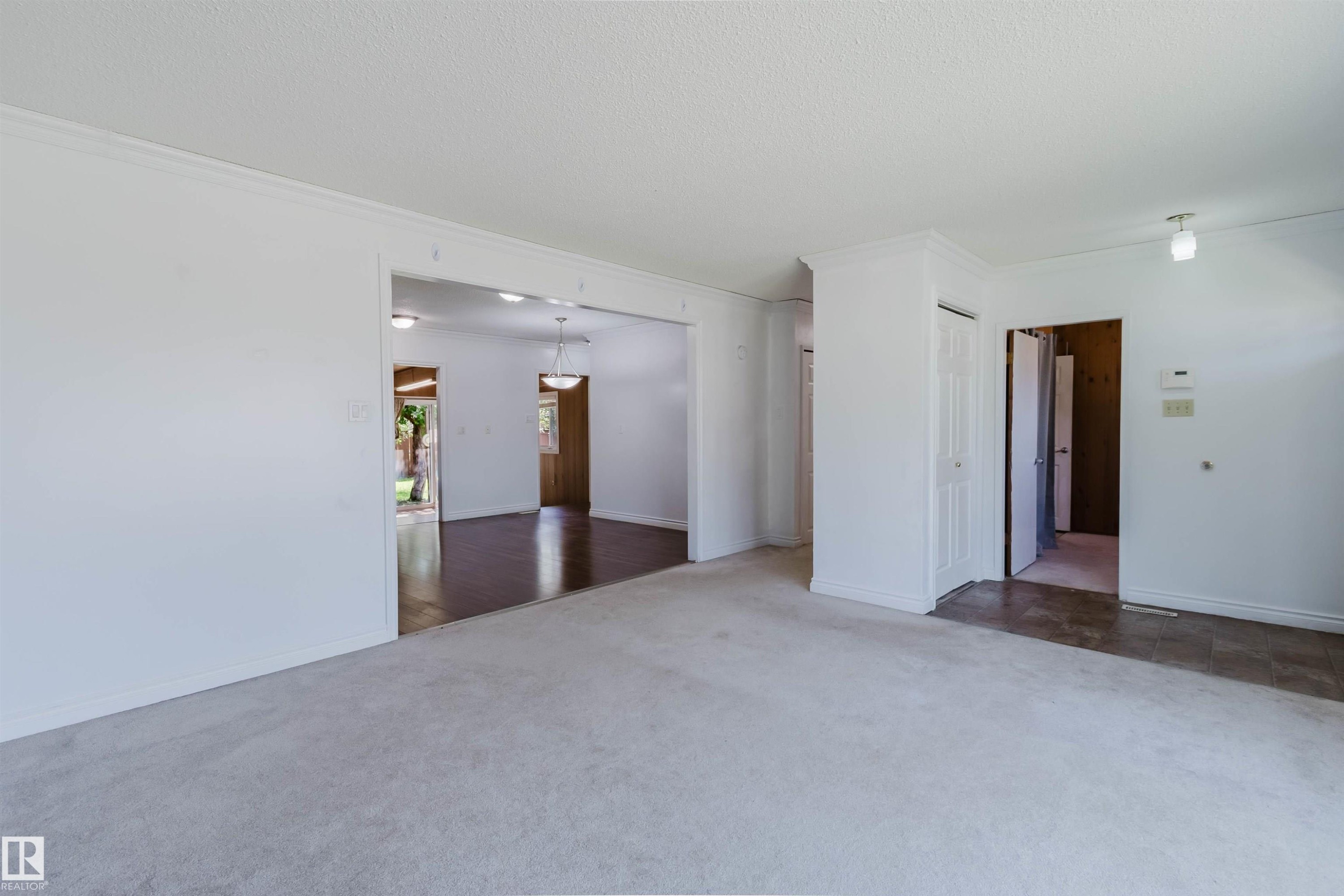Spacious interior featuring light-toned carpeting and white painted walls - 11115 39A Avenue Nw, Edmonton, AB - Indoor Photo Showing Other Room