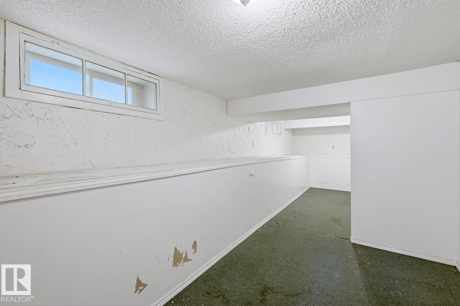 12119 95A Street Nw, Edmonton, AB - Indoor Photo Showing Other Room