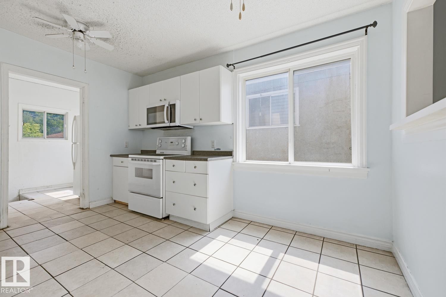 12119 95A Street Nw, Edmonton, AB - Indoor Photo Showing Kitchen