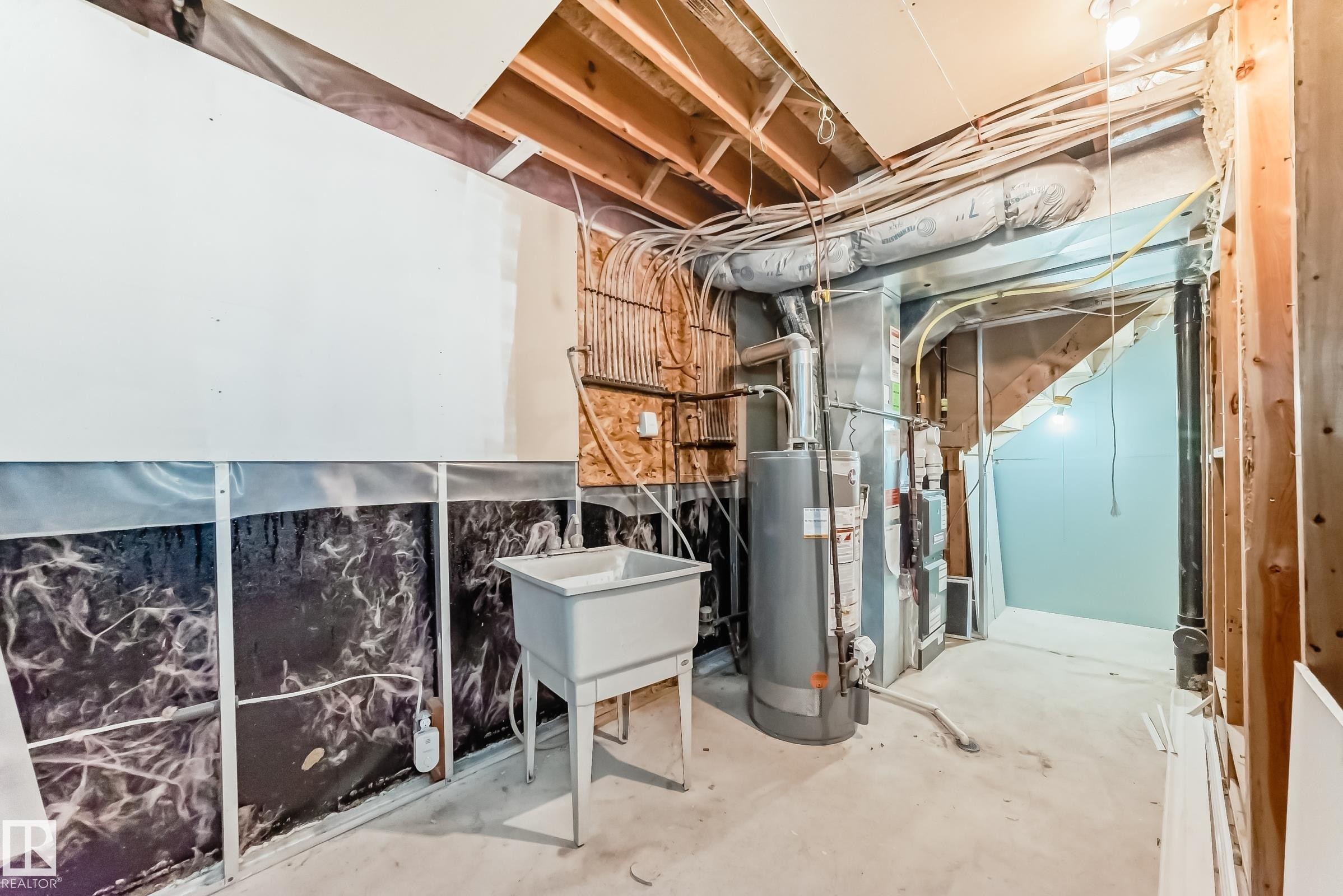 784 Blackburn Place Sw, Edmonton, AB - Indoor Photo Showing Basement