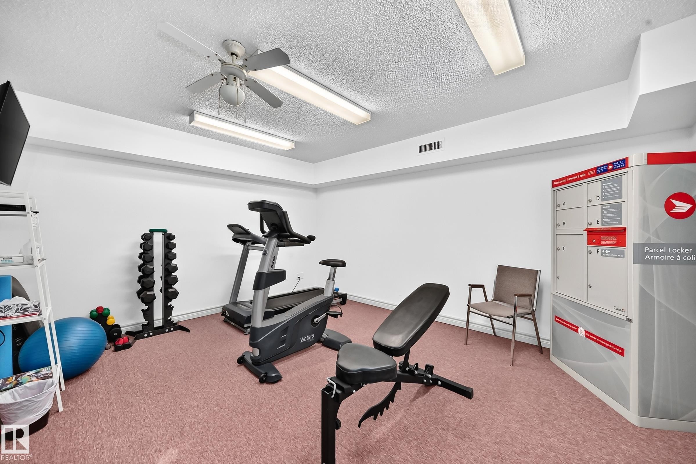 #109 10945 21 Av Nw, Edmonton, AB - Indoor Photo Showing Gym Room