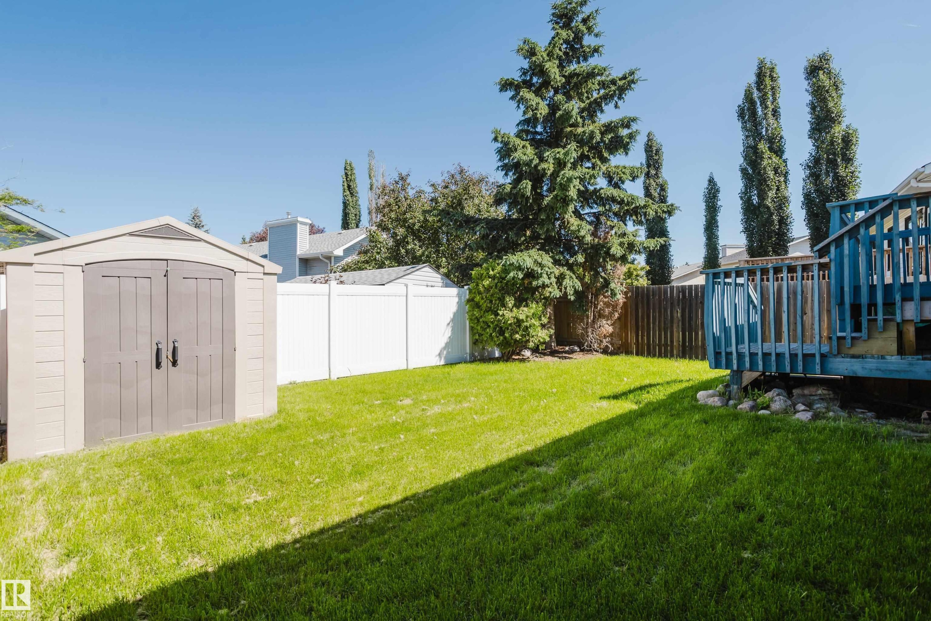 Spacious backyard featuring a manicured lawn, a blue-painted wooden deck with railings, and a tan storage shed - 337 Pearson Crescent Nw, Edmonton, AB - Outdoor