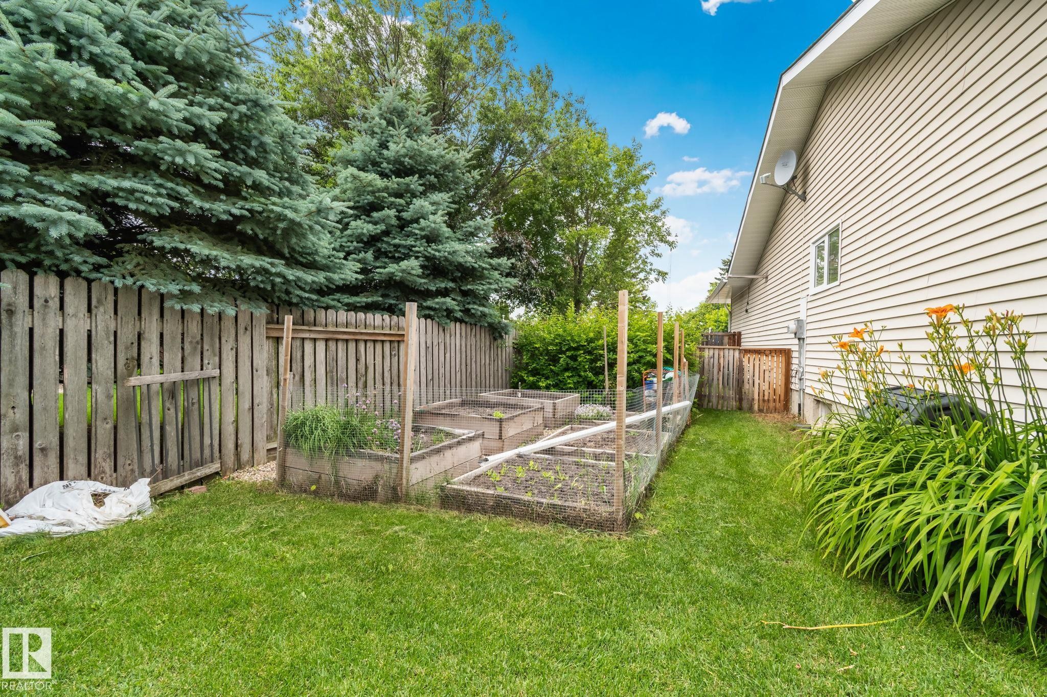Expansive backyard featuring a manicured lawn, multiple raised garden beds, and mature trees along the perimeter - 7306 21 Avenue Nw, Edmonton, AB - Outdoor