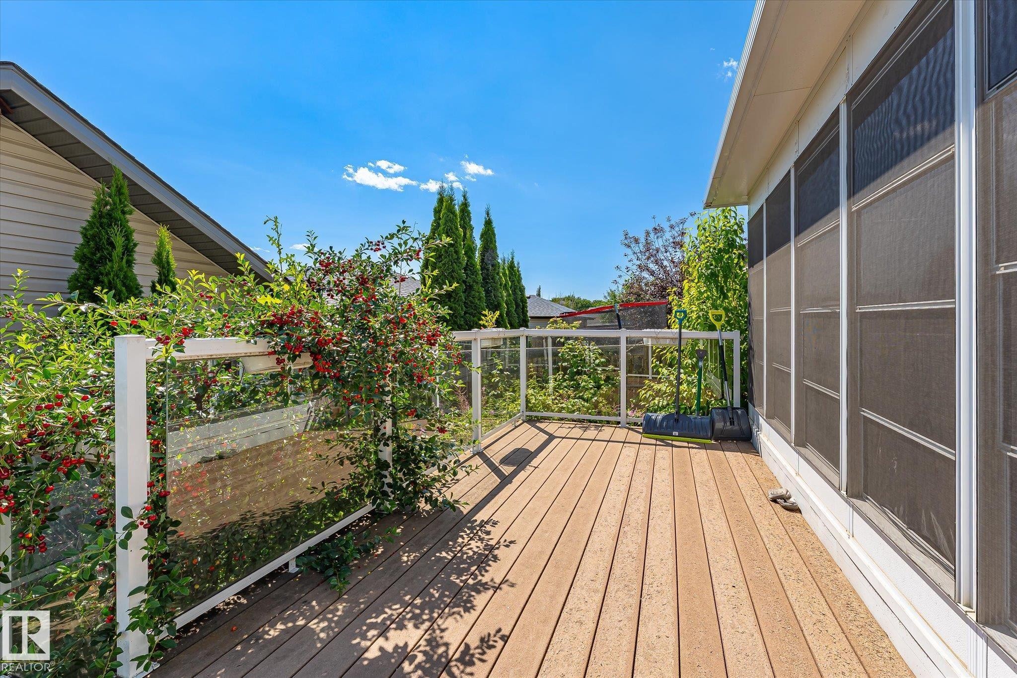 Expansive outdoor deck featuring wood-finish flooring, clear glass panel railings, and mature surrounding greenery - 4317 152 Avenue Nw, Edmonton, AB - Outdoor With Deck Patio Veranda With Exterior