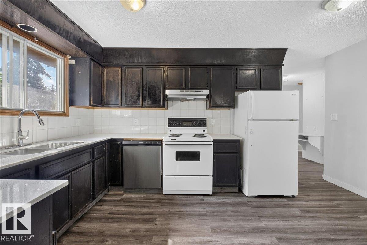 1939 61 Street Nw, Edmonton, AB - Indoor Photo Showing Kitchen With Double Sink