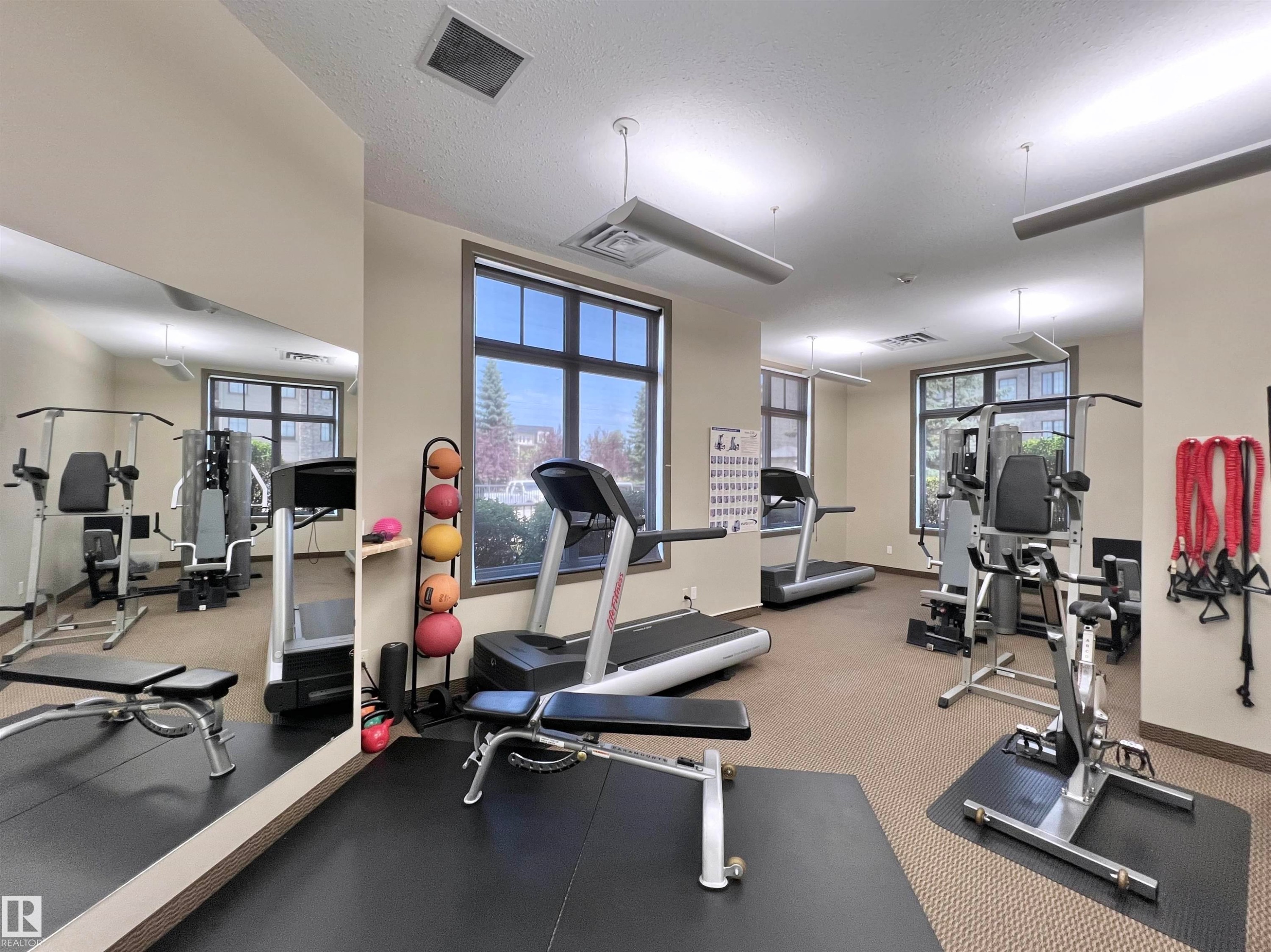 #106 160 Magrath Rd Nw, Edmonton, AB - Indoor Photo Showing Gym Room