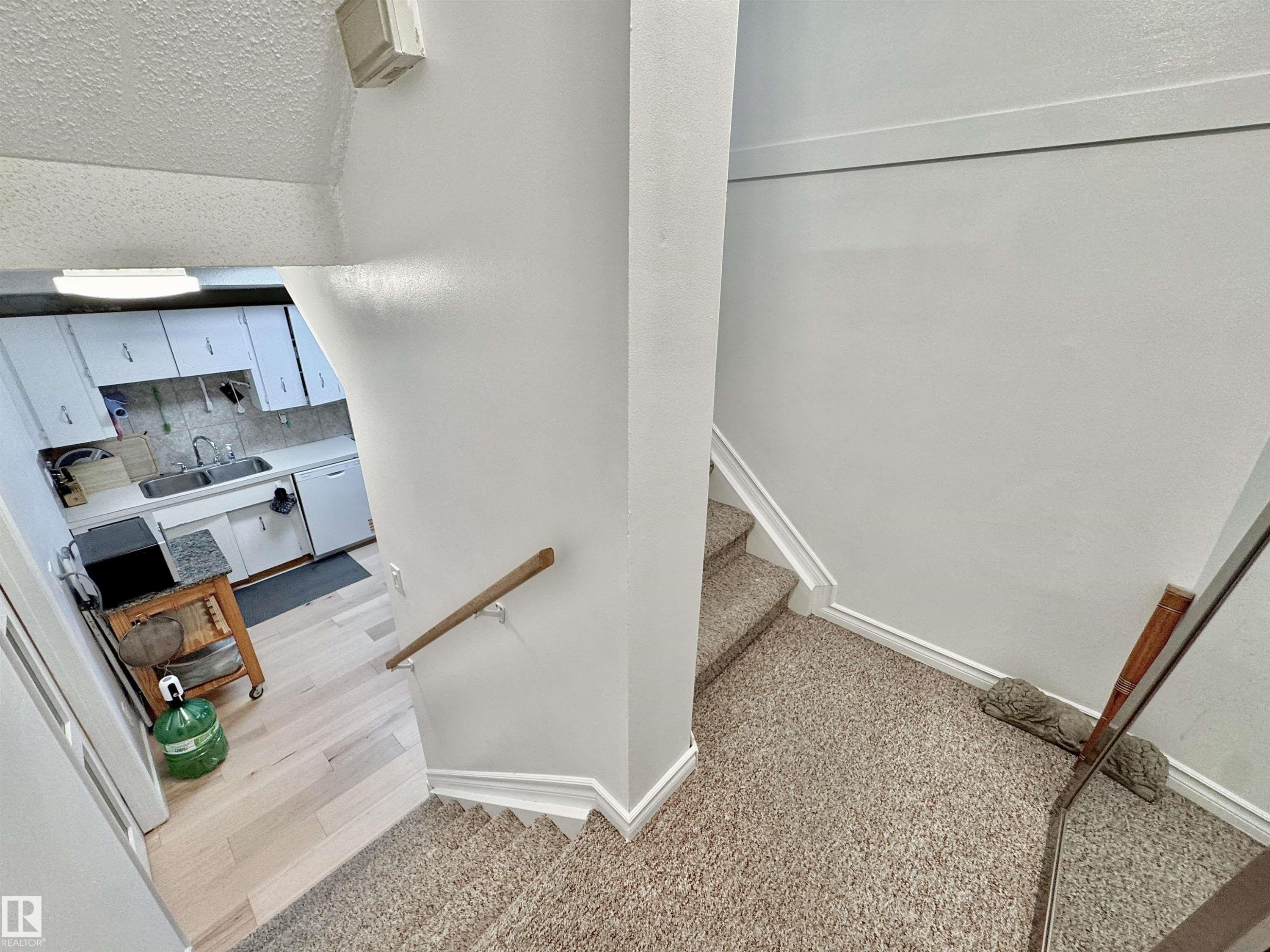 Carpeted staircase with white risers and baseboards - #29 13580 38 St Nw, Edmonton, AB - Indoor