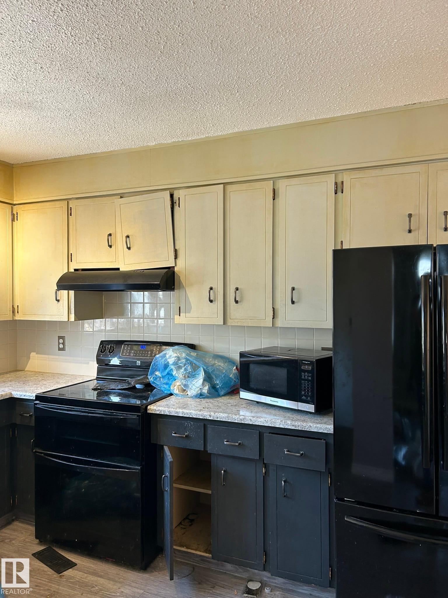 16411 106 Street Nw, Edmonton, AB - Indoor Photo Showing Kitchen