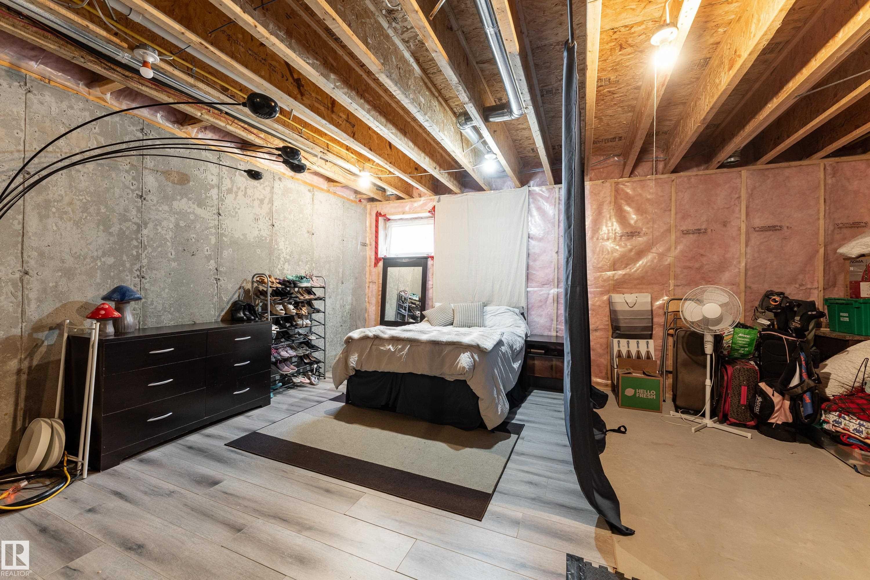 16805 55 Street Nw, Edmonton, AB - Indoor Photo Showing Basement