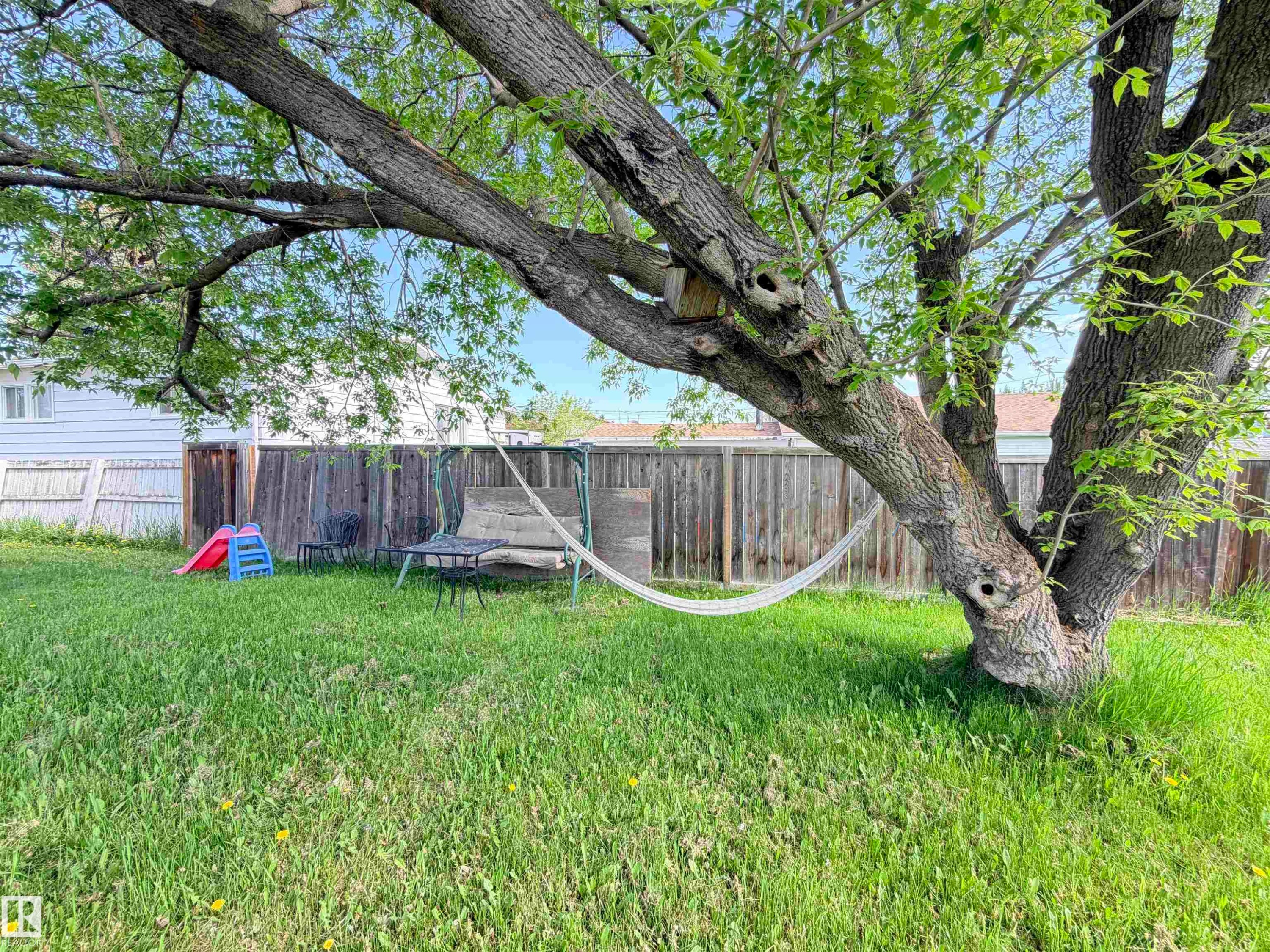 Generous tree canopy providing extensive shade over a grassy area - 4823 49 Street, Clyde, AB - Outdoor