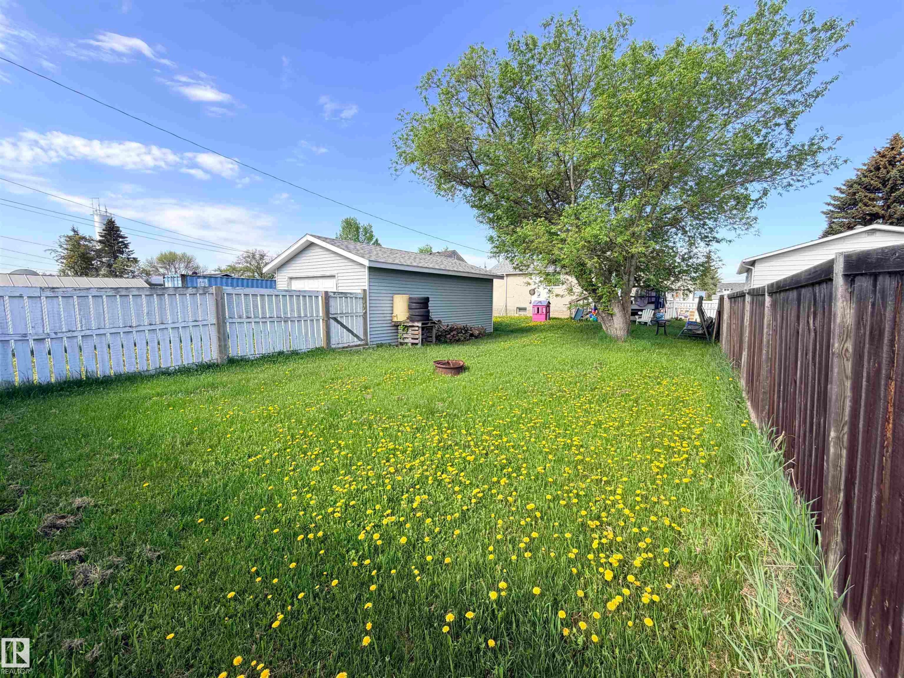 Expansive backyard featuring a mature deciduous tree, a detached shed with light grey siding and a dark roof, a white picket fence, and a dark wood privacy fence - 4823 49 Street, Clyde, AB - Outdoor