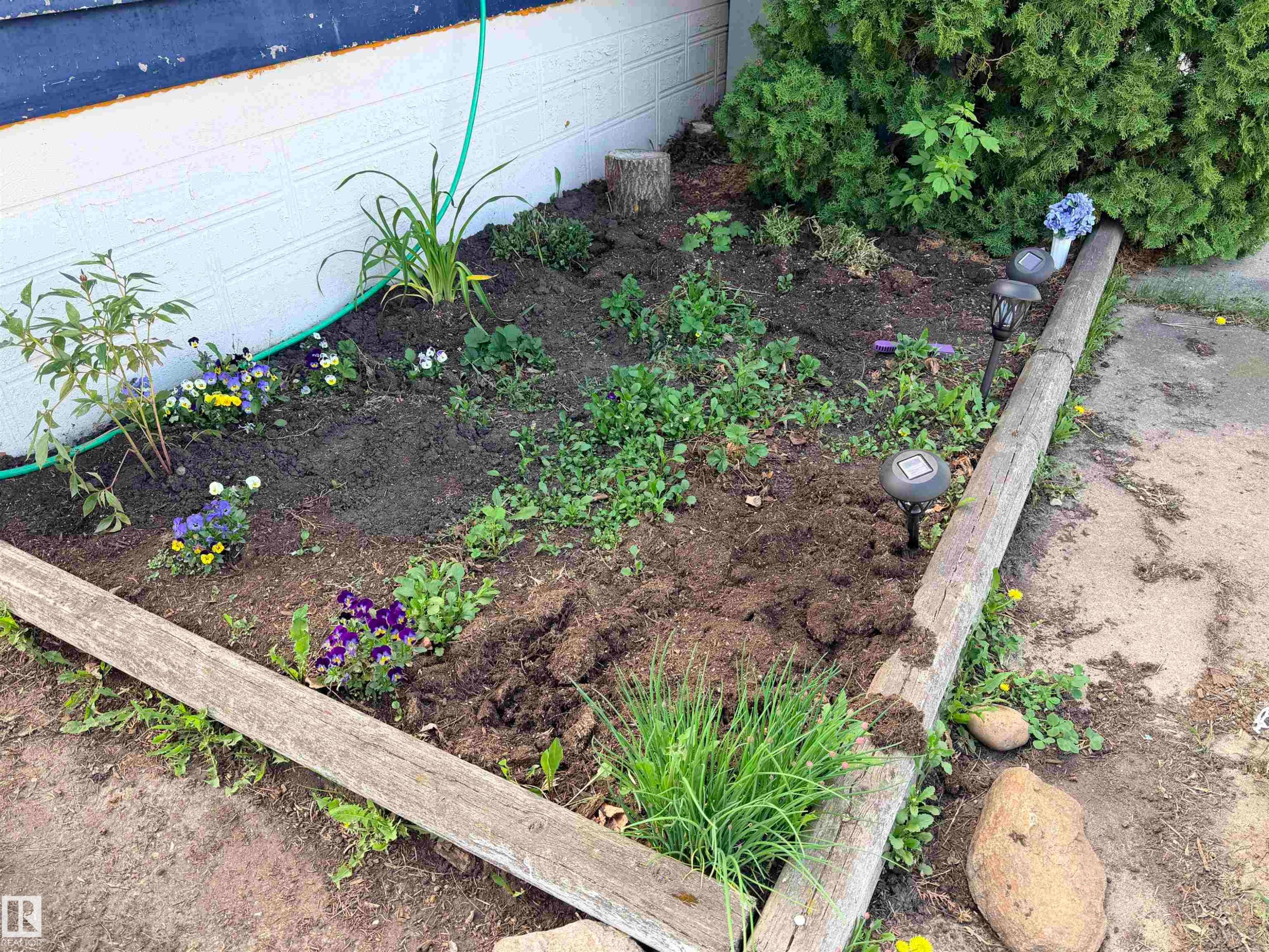 Garden bed with established plantings, wood border, and integrated solar lighting - 4823 49 Street, Clyde, AB - Outdoor