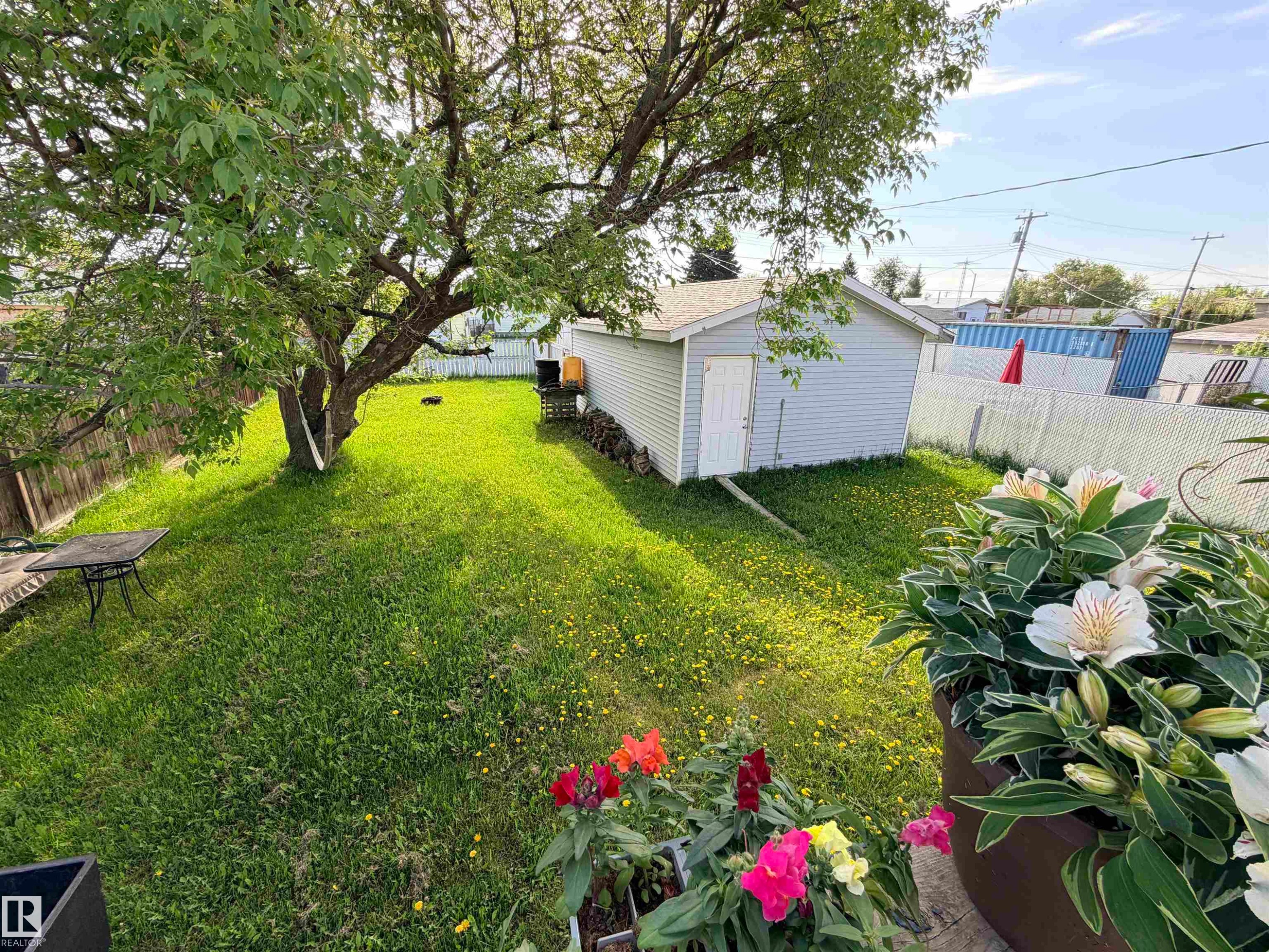Expansive backyard featuring a mature shade tree, a detached storage shed, and a privacy fence - 4823 49 Street, Clyde, AB - Outdoor