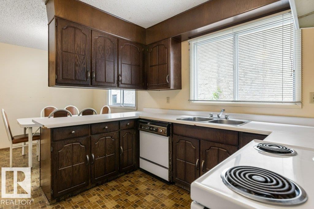 11113 173A Avenue Nw, Edmonton, AB - Indoor Photo Showing Kitchen With Double Sink