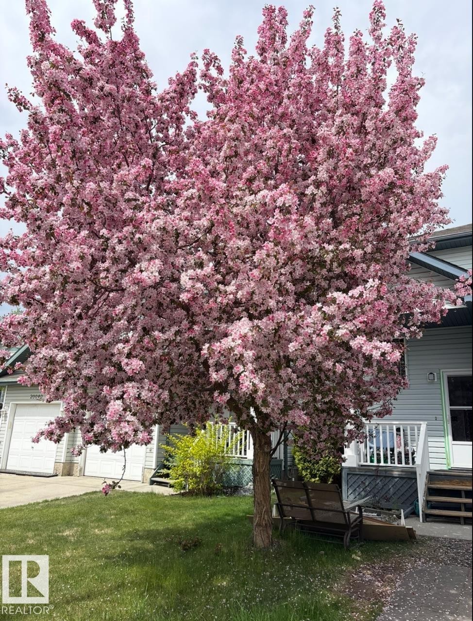 20032 53A Avenue Nw, Edmonton, AB - Outdoor