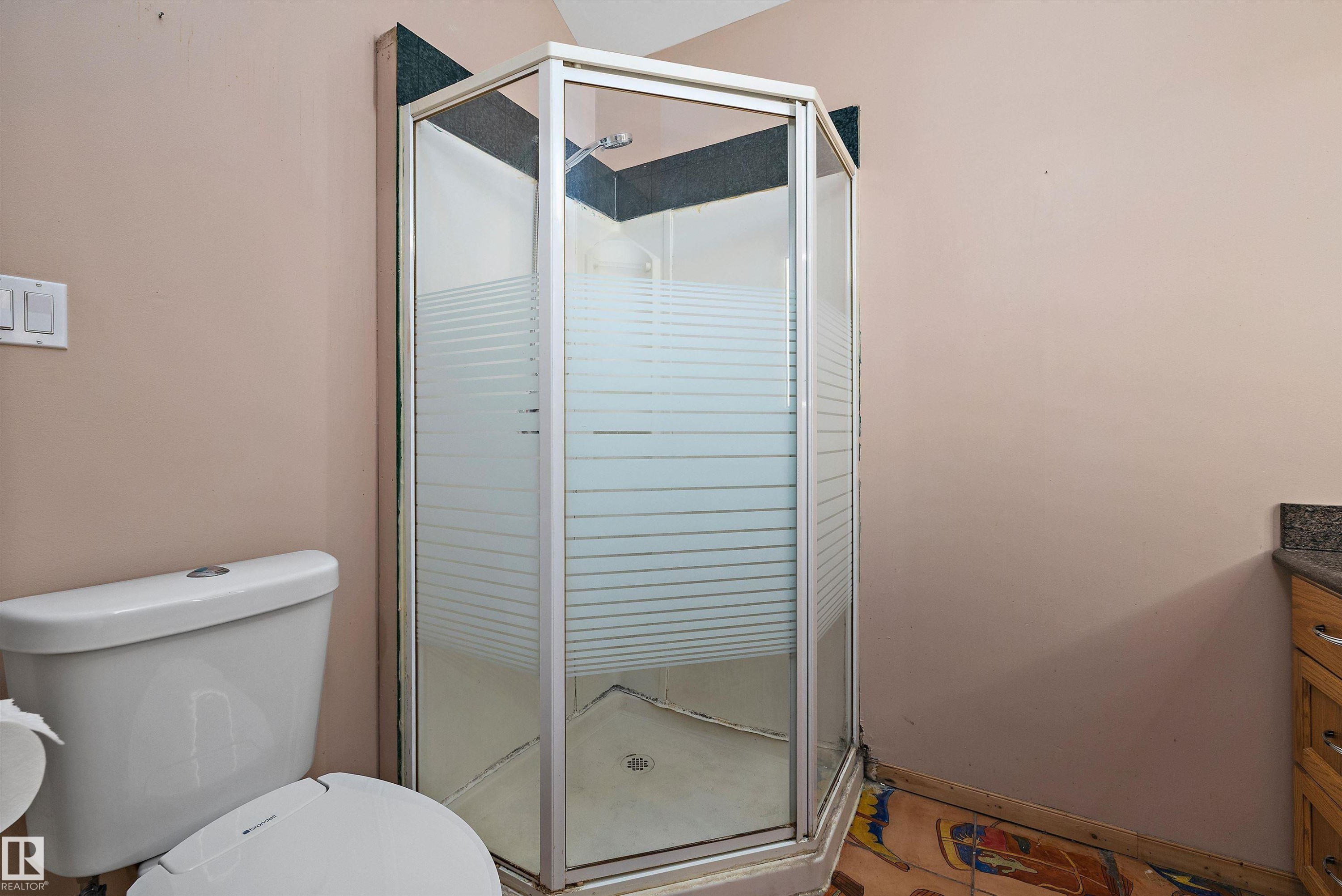 11253 89 Street Nw, Edmonton, AB - Indoor Photo Showing Bathroom