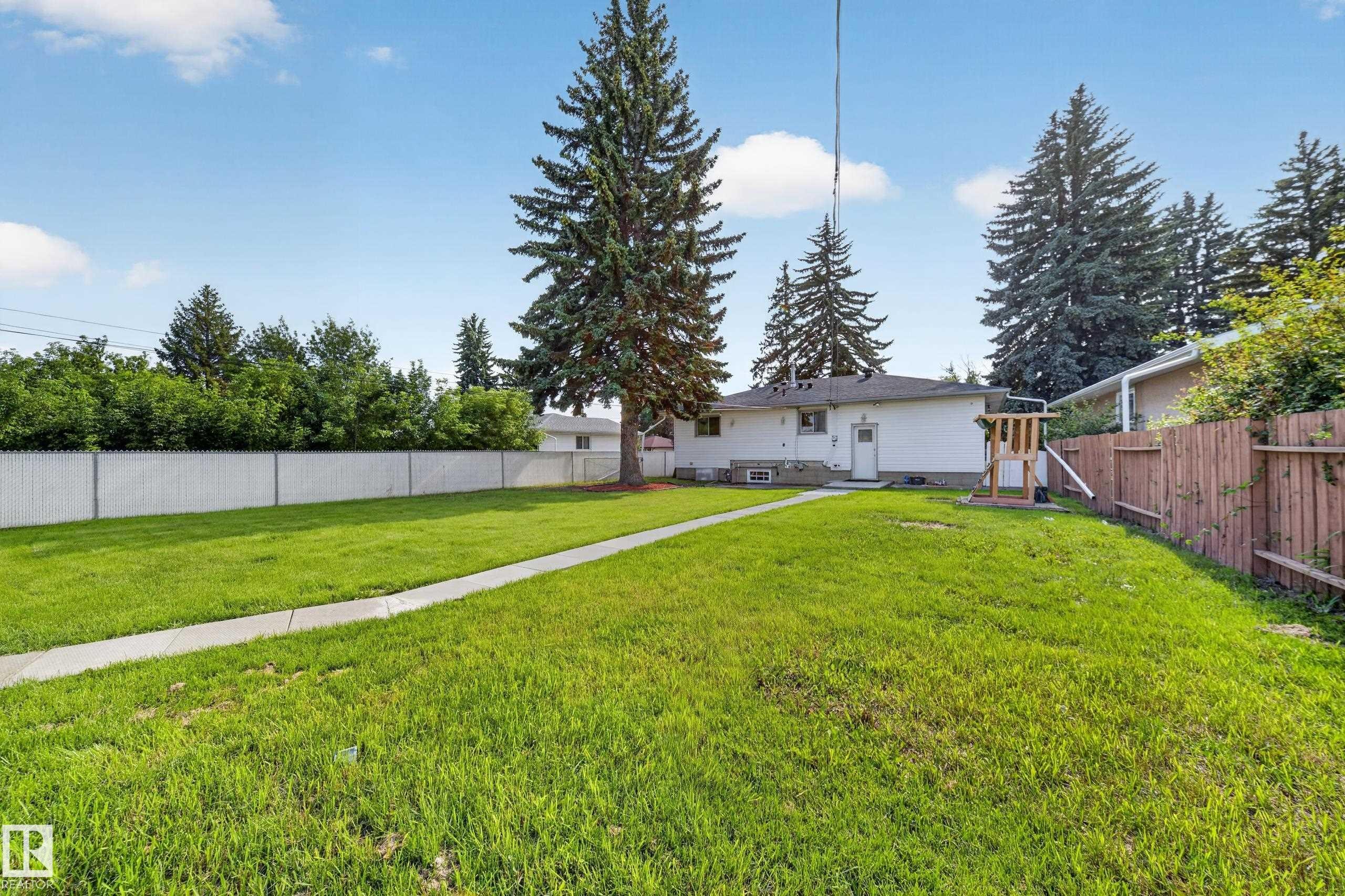 Expansive backyard featuring a large lawn, mature evergreen trees, and a concrete pathway leading to the white exterior of the home - 5204 97A Avenue Nw, Edmonton, AB - Outdoor