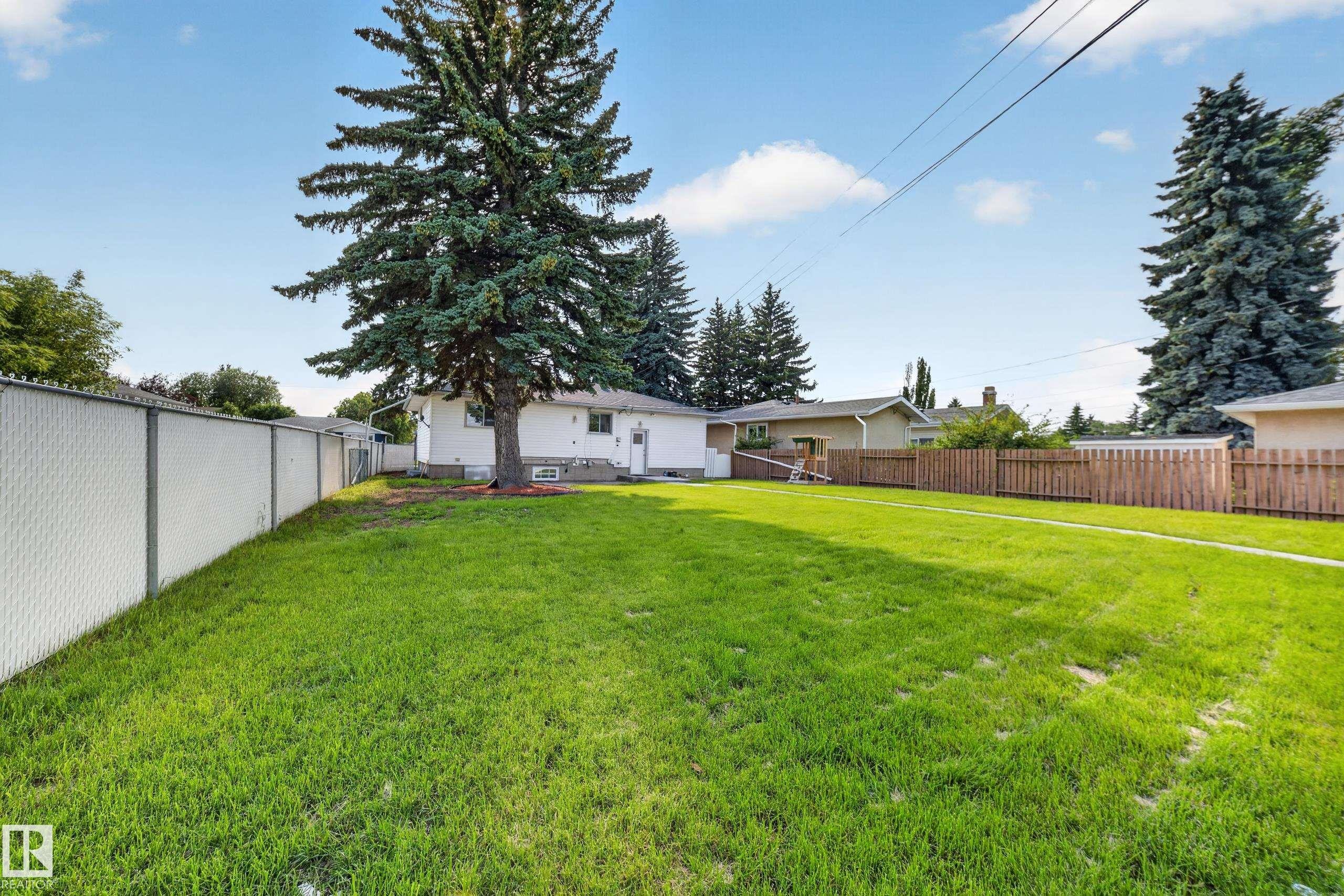 Expansive green lawn with mature evergreen trees and a white chain-link fence - 5204 97A Avenue Nw, Edmonton, AB - Outdoor With Backyard