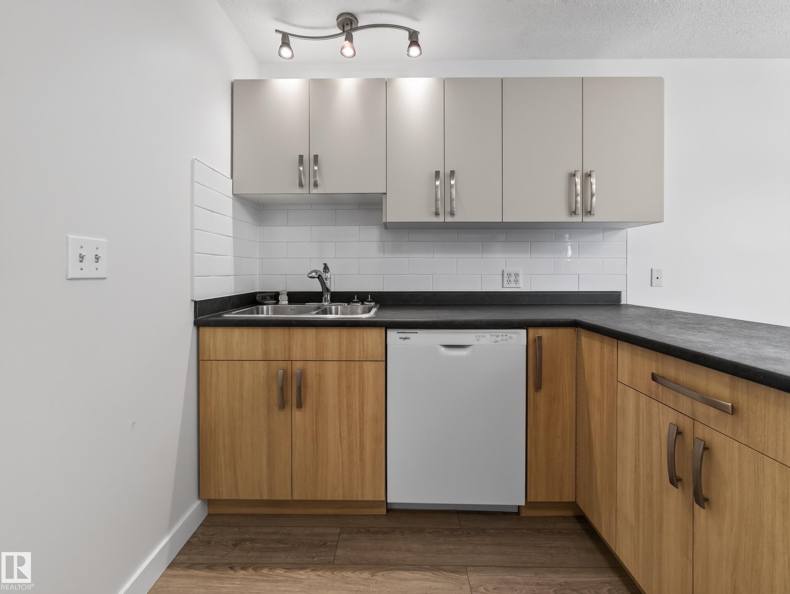 10136 81 Street Nw, Edmonton, AB - Indoor Photo Showing Kitchen With Double Sink
