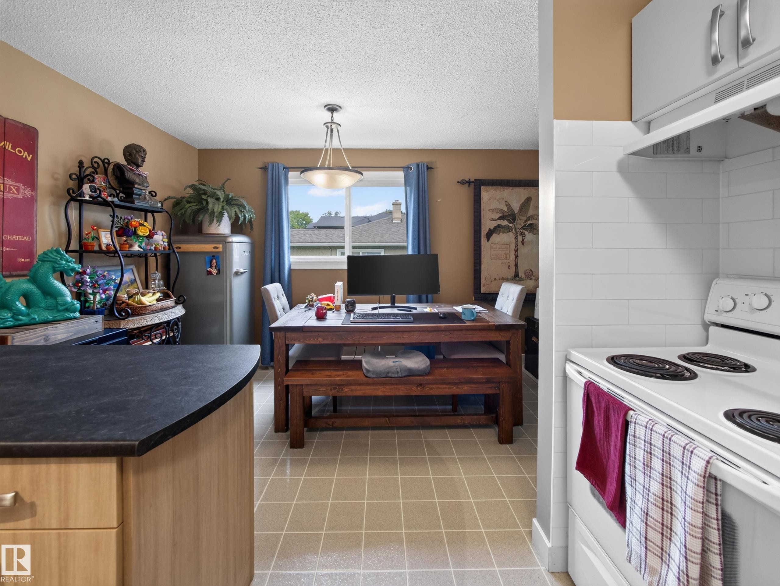 10136 81 Street Nw, Edmonton, AB - Indoor Photo Showing Kitchen