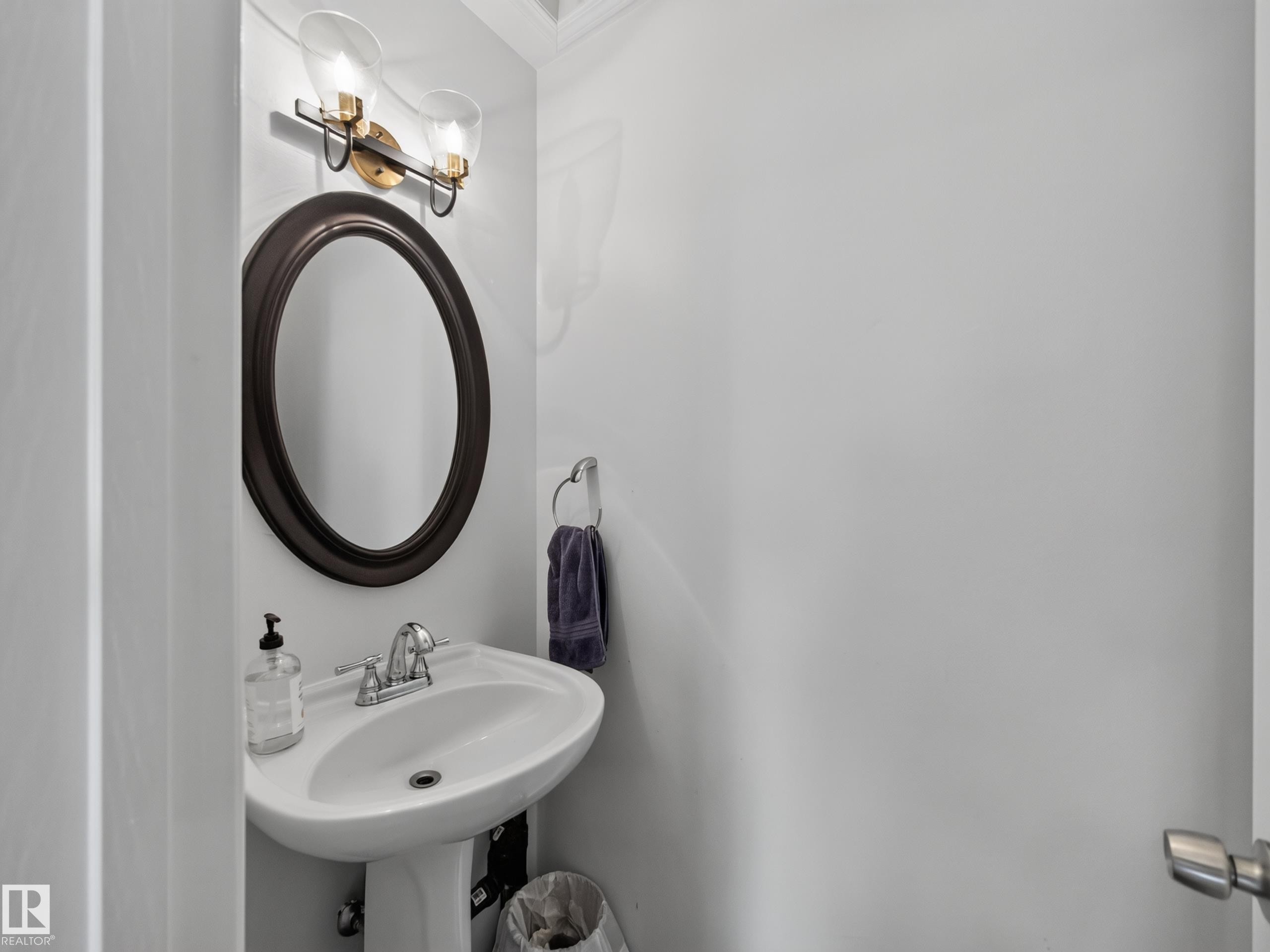 10136 81 Street Nw, Edmonton, AB - Indoor Photo Showing Bathroom