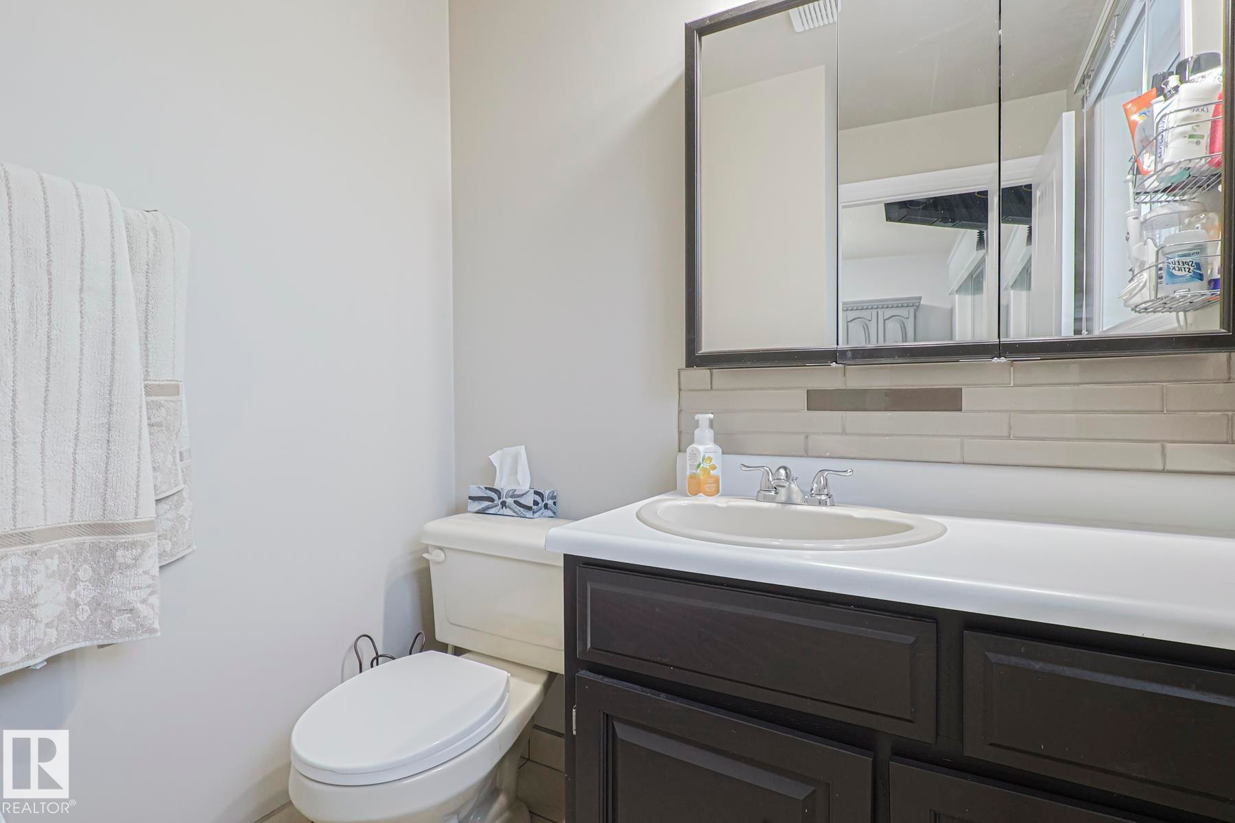 13304 70 Street Nw, Edmonton, AB - Indoor Photo Showing Bathroom