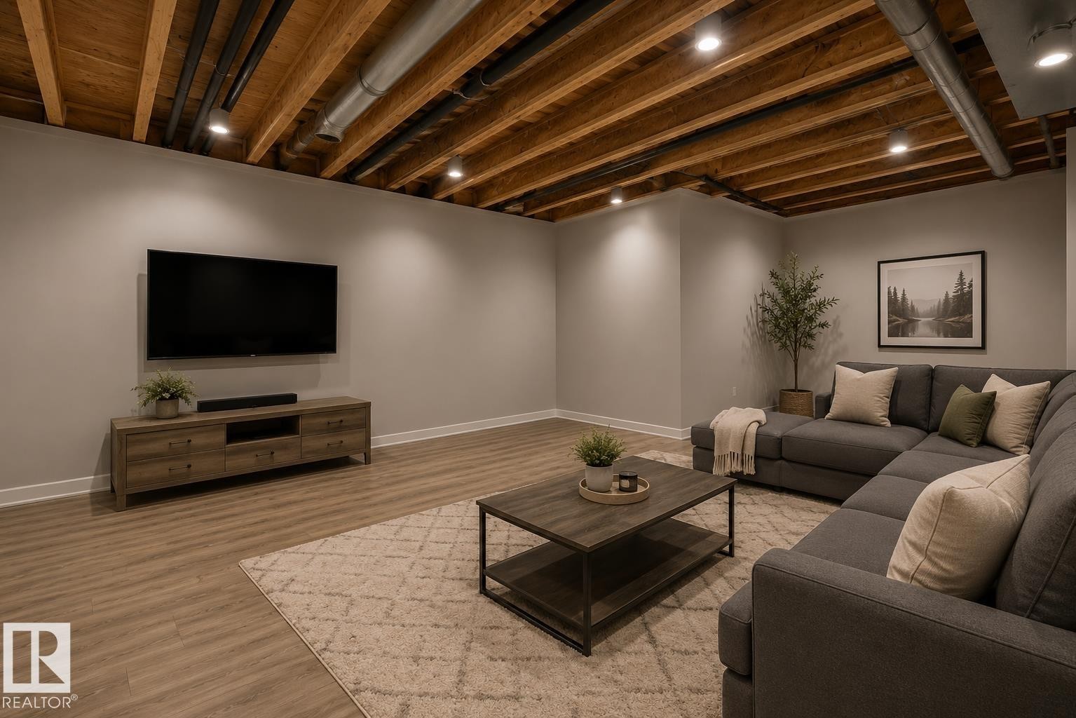 16114 43 Street Nw, Edmonton, AB - Indoor Photo Showing Basement