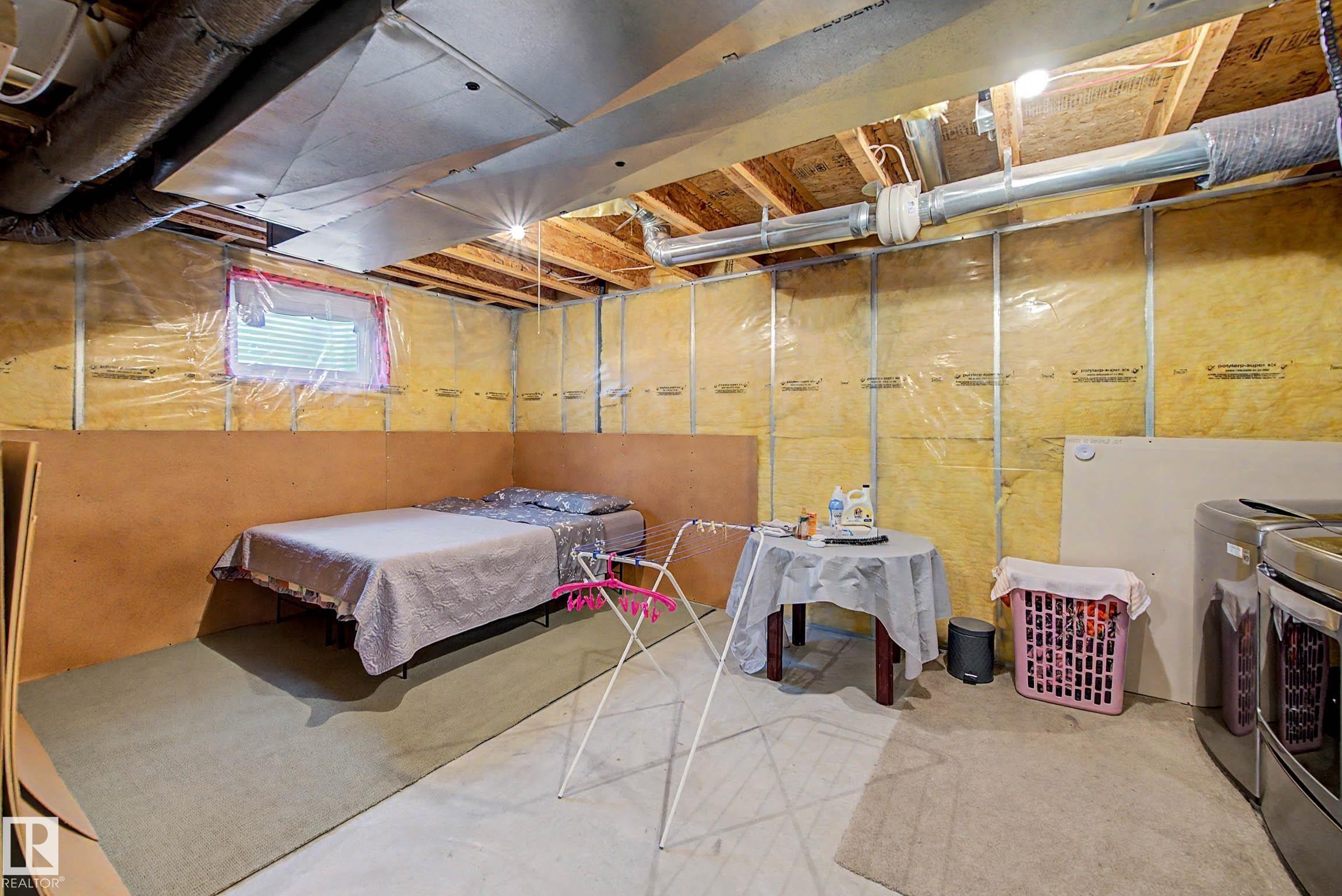 16114 43 Street Nw, Edmonton, AB - Indoor Photo Showing Basement